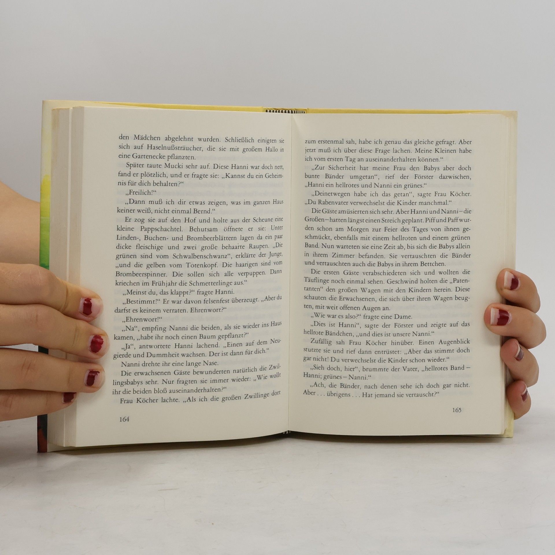 Enid Blyton Hanni und Nanni. Sammelband 4