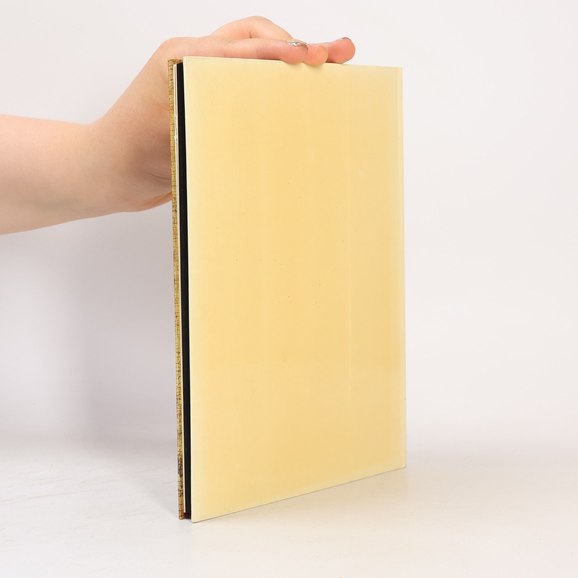 Autorenkollektiv Icônes Vie des Saints