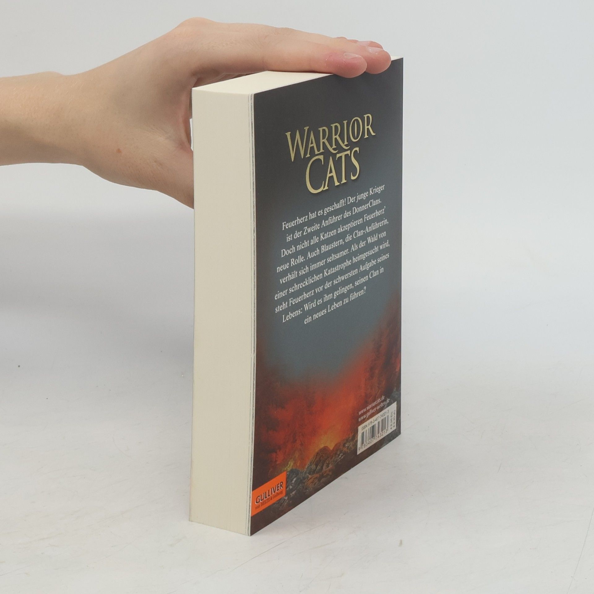 Erin Hunter Warrior Cats. Vor dem Sturm