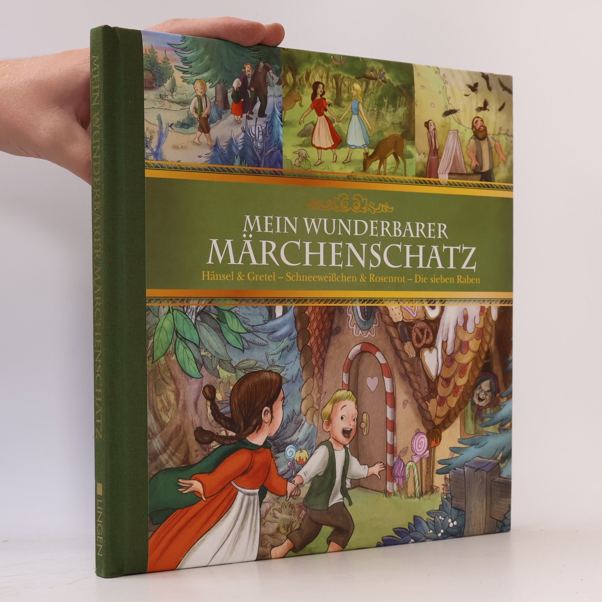 Kolektiv autorů Mein Wunderbarer Märchenschatz