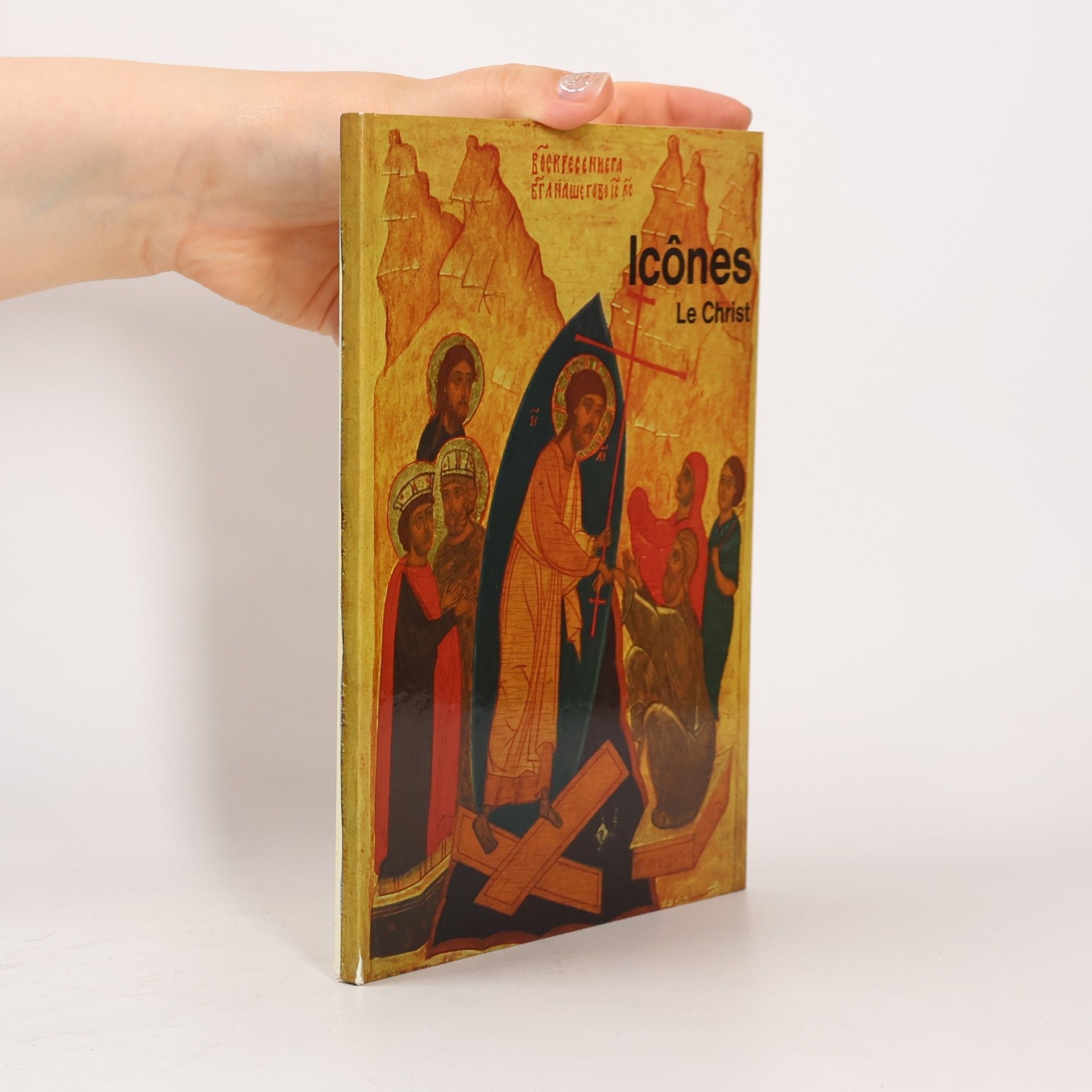 Autorenkollektiv Icônes Le Christ