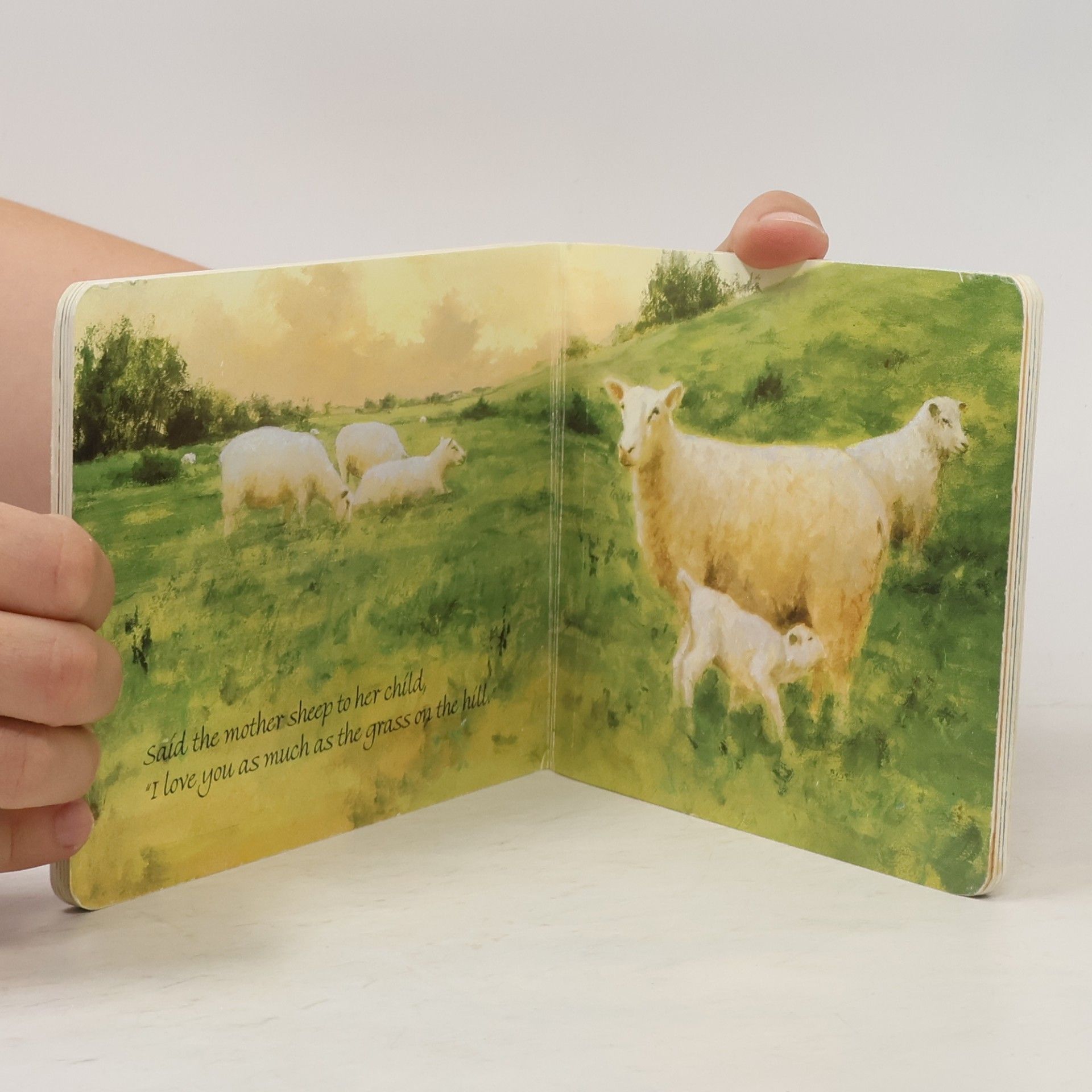 Laura Krauss Melmed I Love You as Much... Board Book