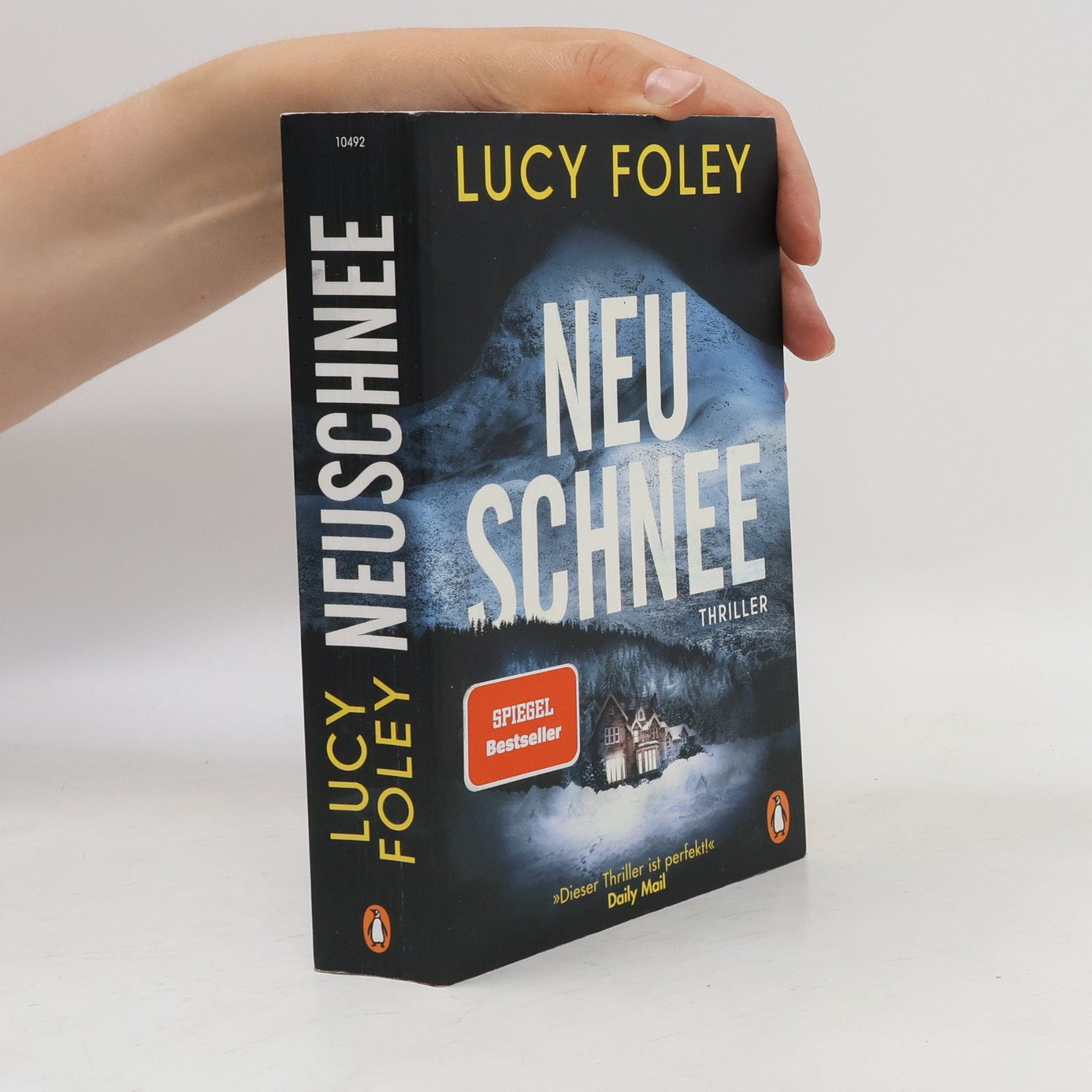 Lucy Foley Neuschnee