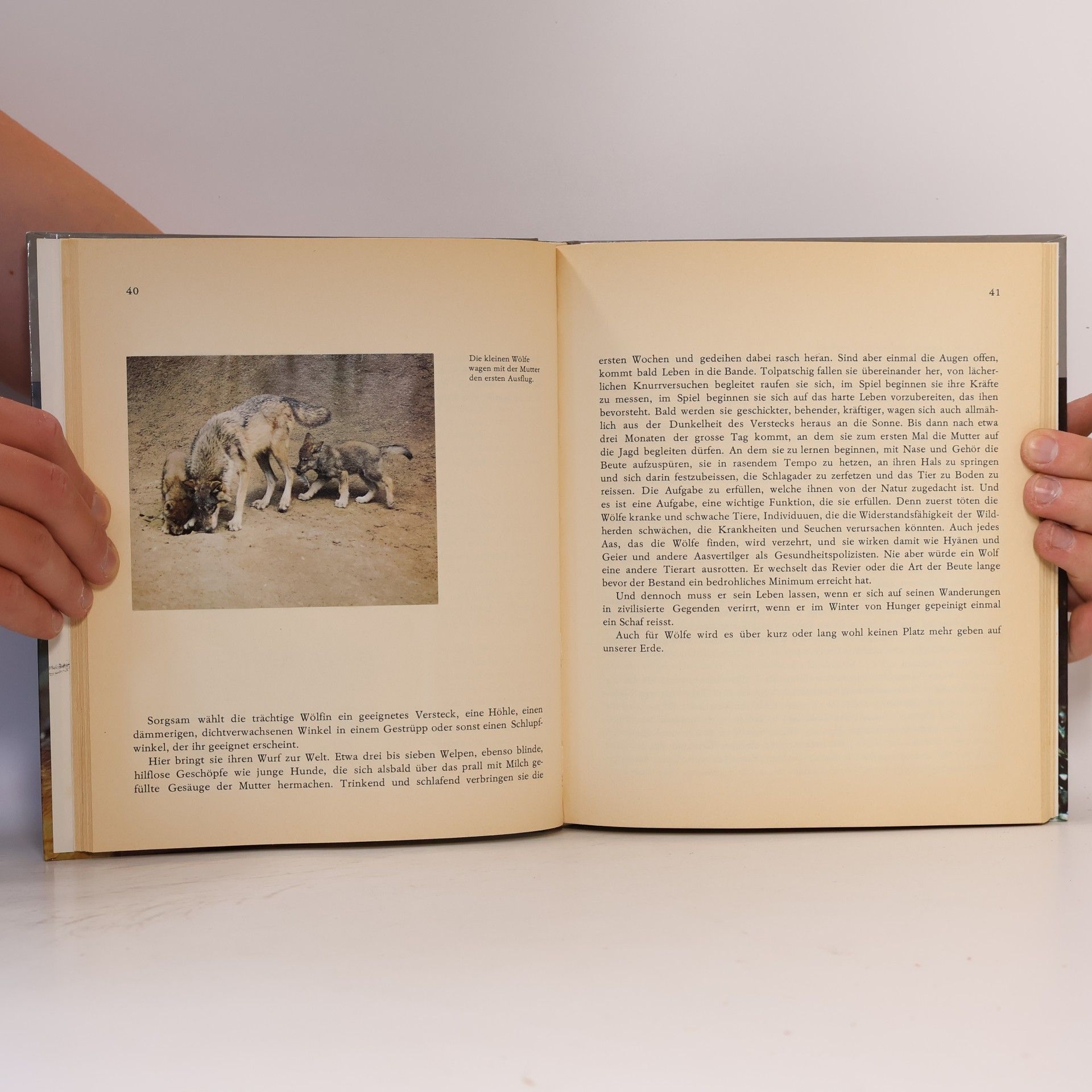 Hans Dossenbach Tierkinder 13
