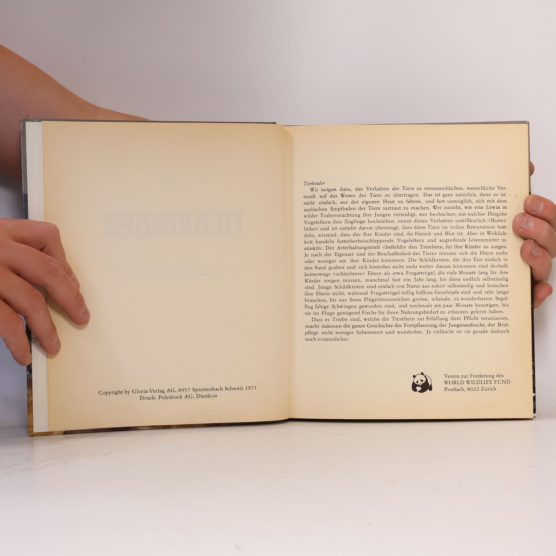 Hans Dossenbach Tierkinder 13