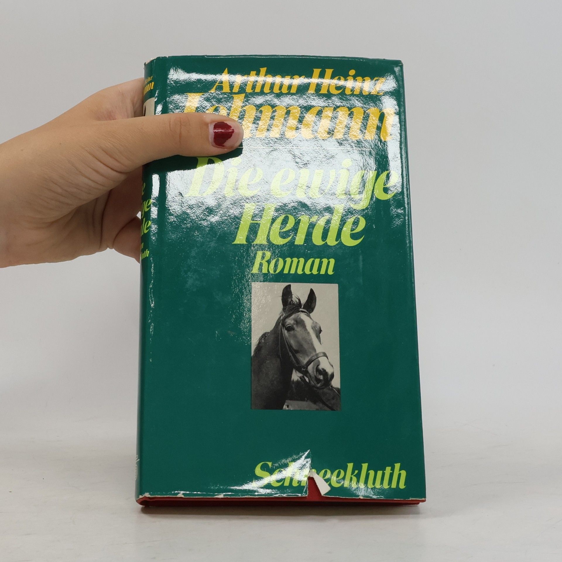 Arthur Heinz Lehmann Die ewige Herde