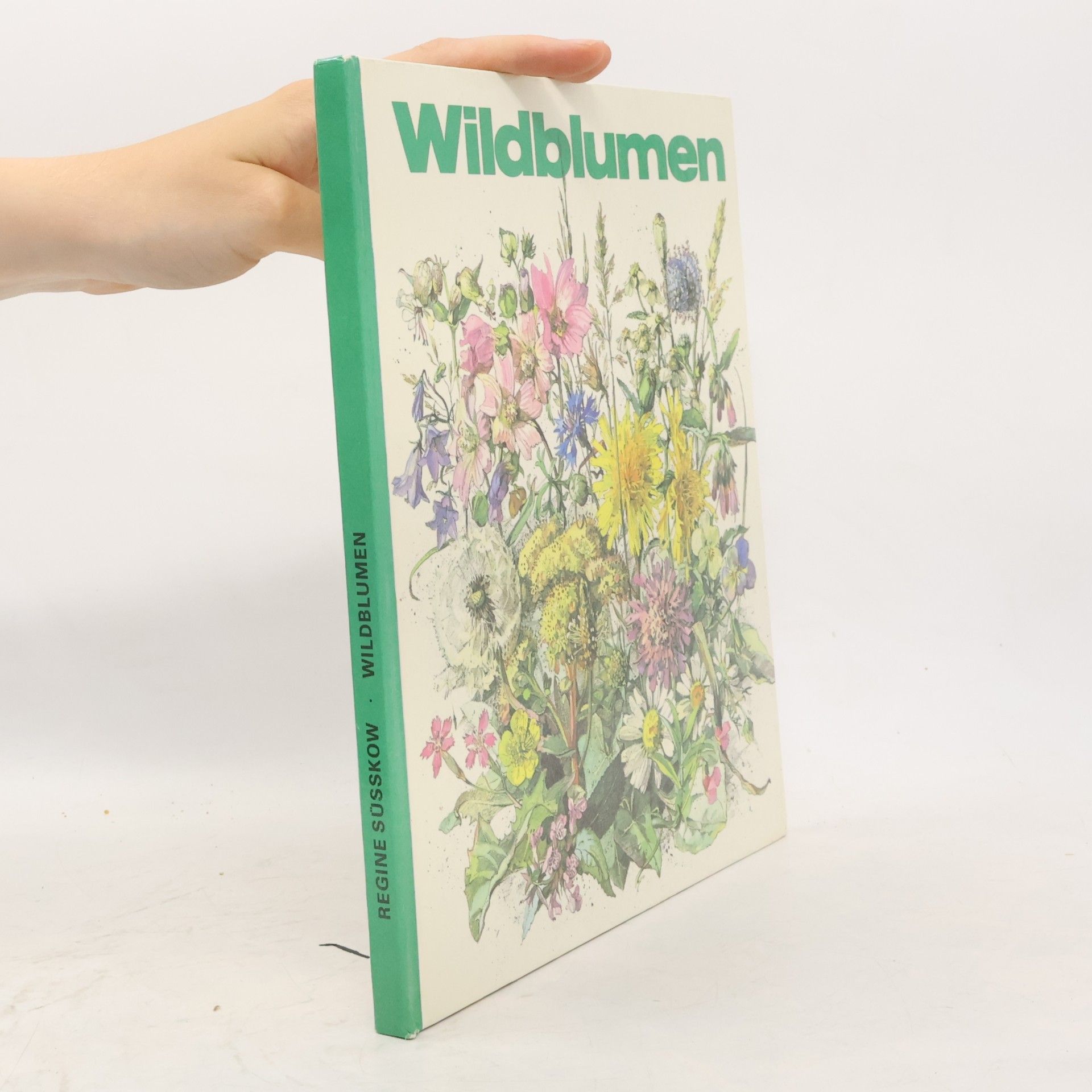 Regine Süsskow Wildblumen