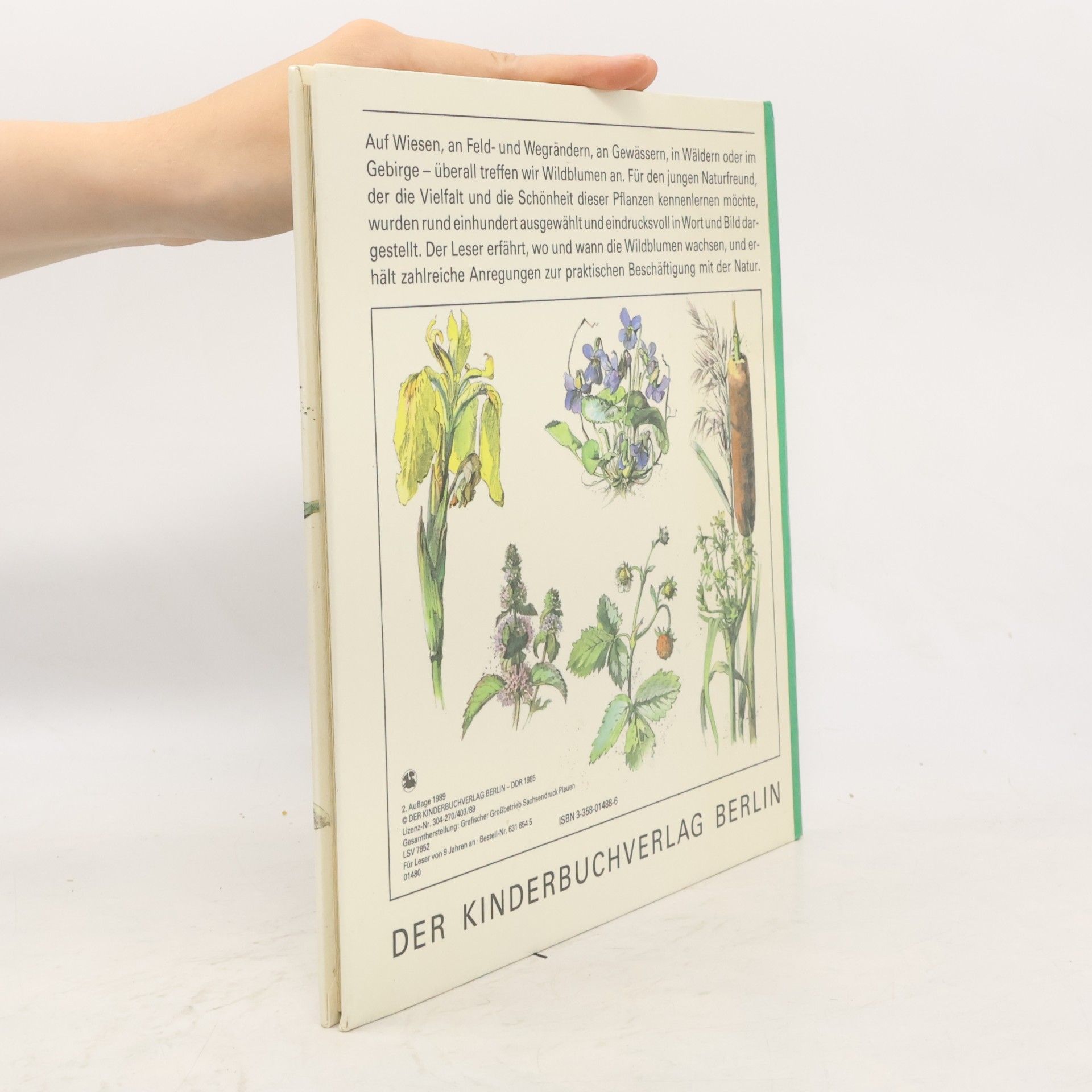 Regine Süsskow Wildblumen
