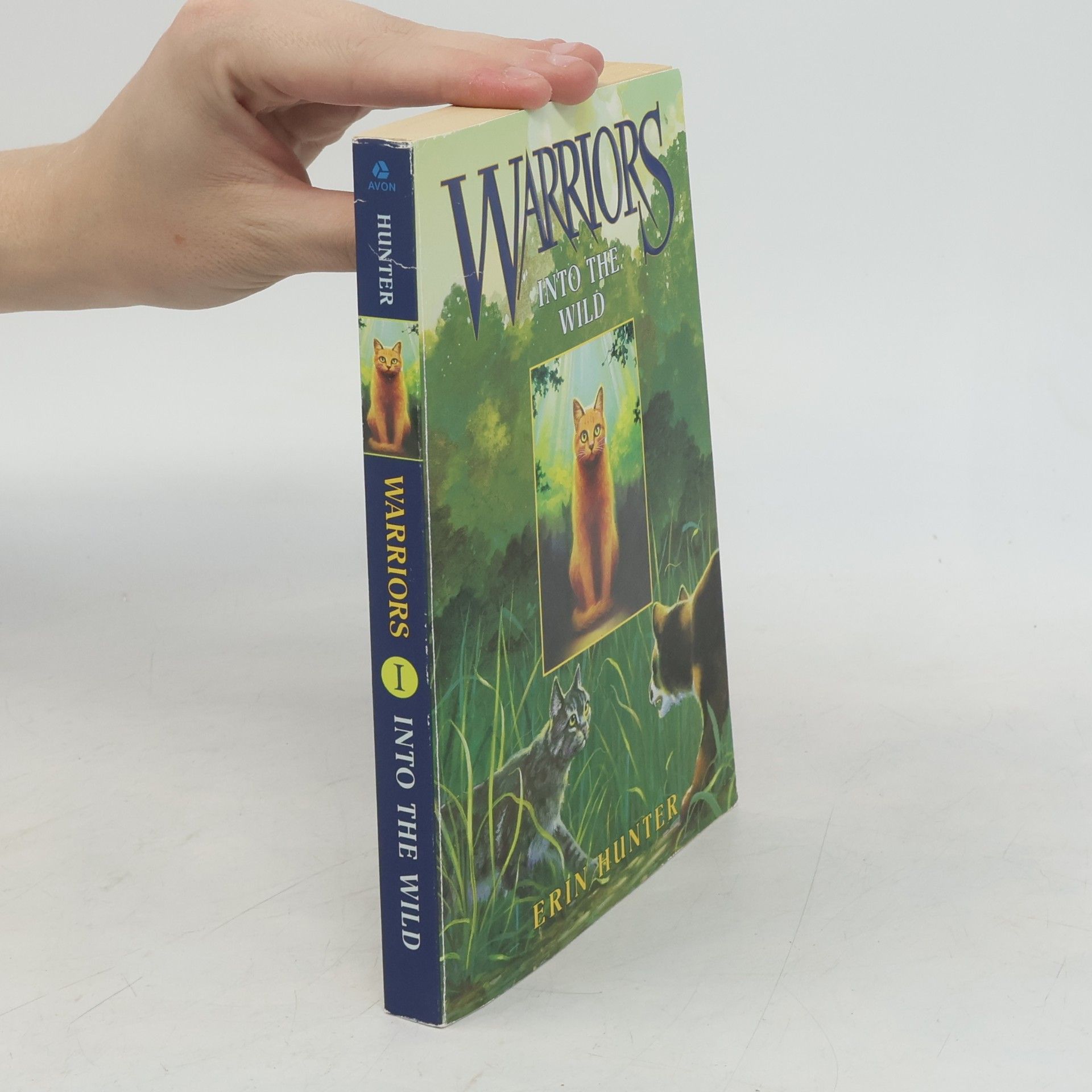 Erin Hunter Warriors 1 Into the Wild