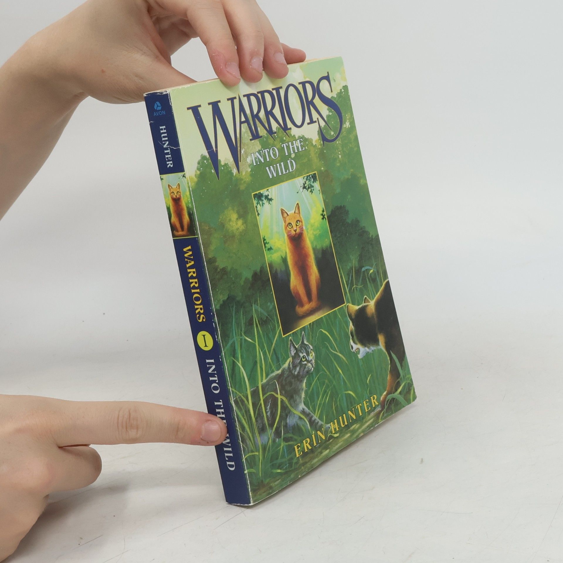 Erin Hunter Warriors 1 Into the Wild