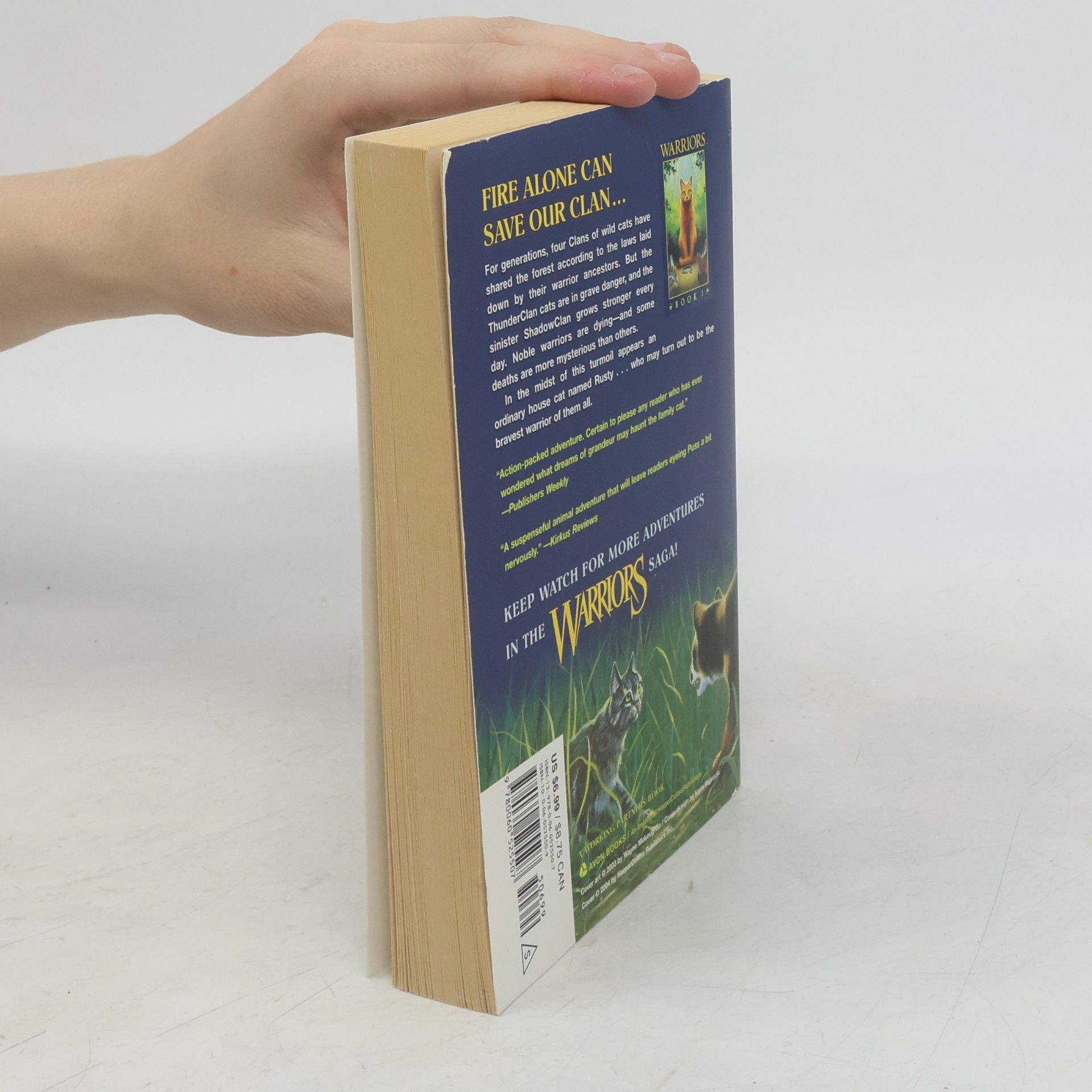 Erin Hunter Warriors 1 Into the Wild