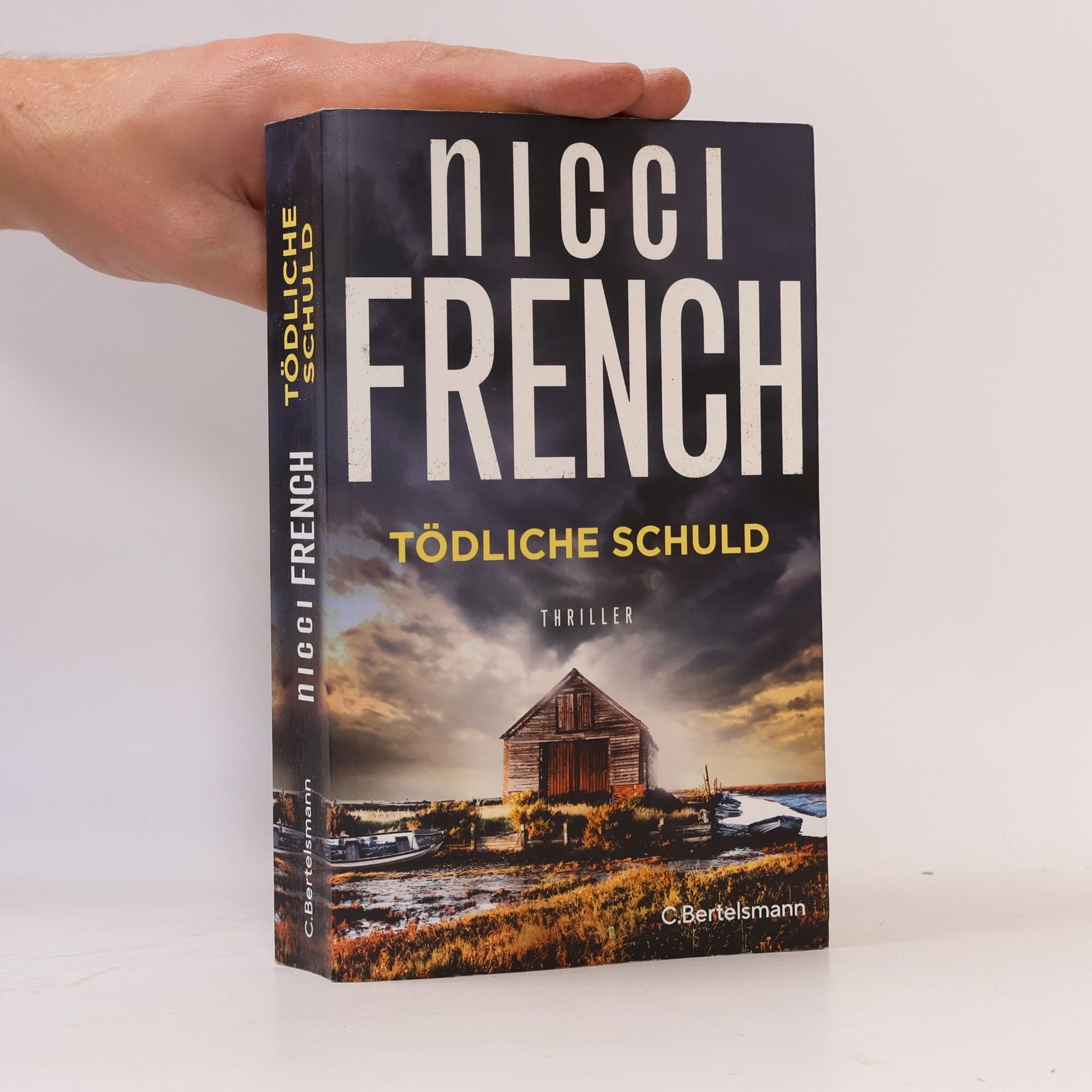 Nicci French Tödliche Schuld