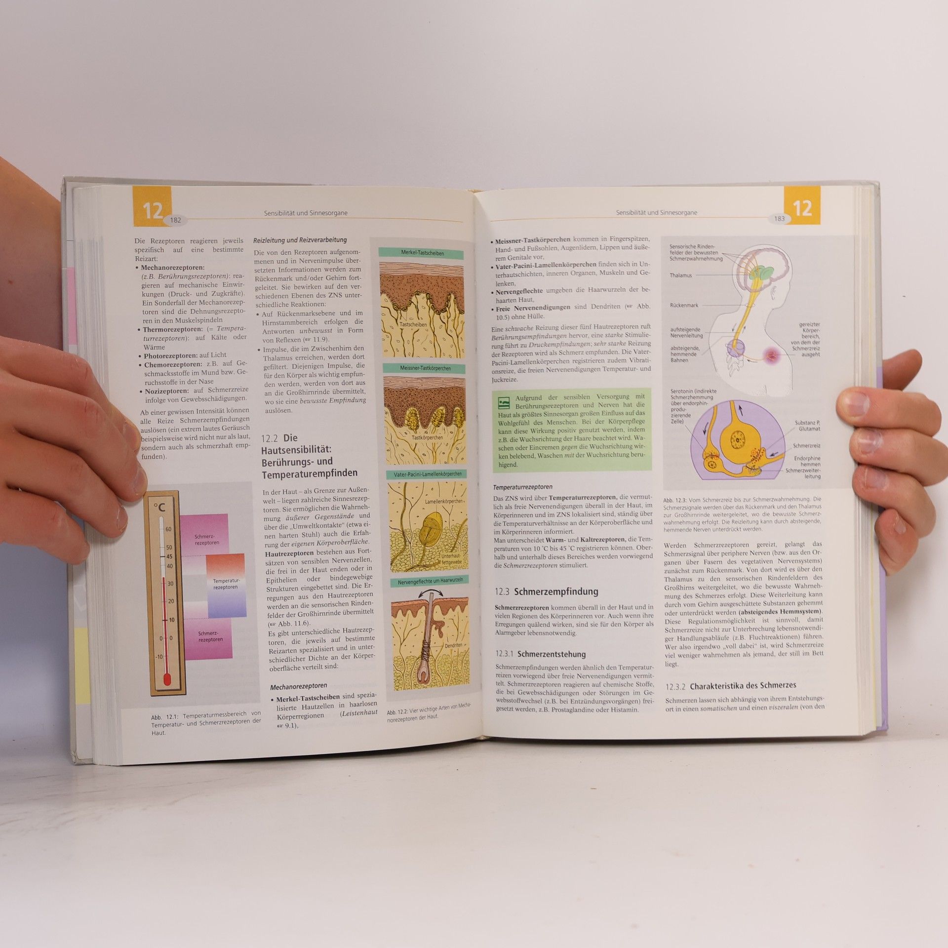 Arne Schäffler Biologie, Anatomie, Physiologie