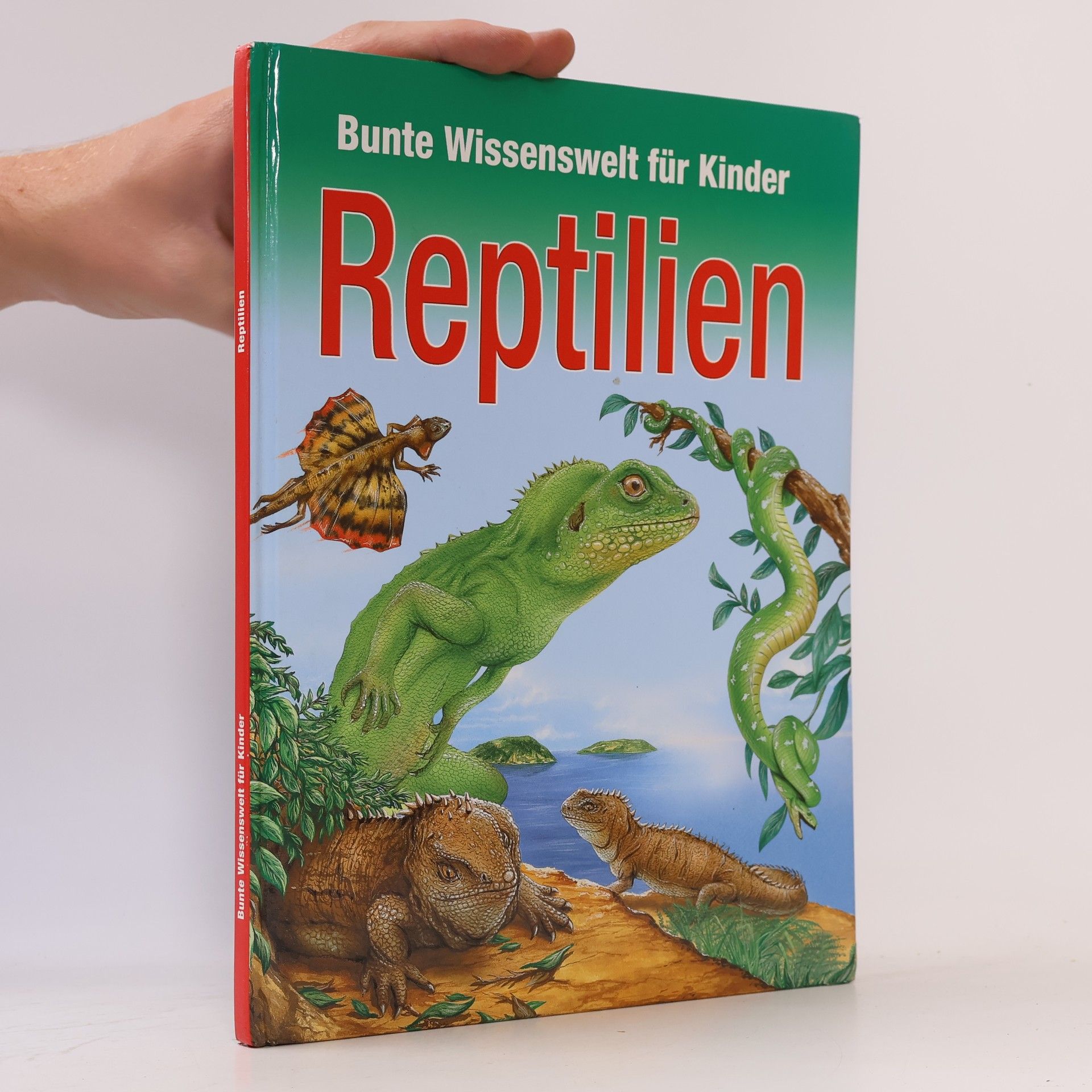 Autorenkollektiv Bunte Wissenswelt für Kinder. Reptilien