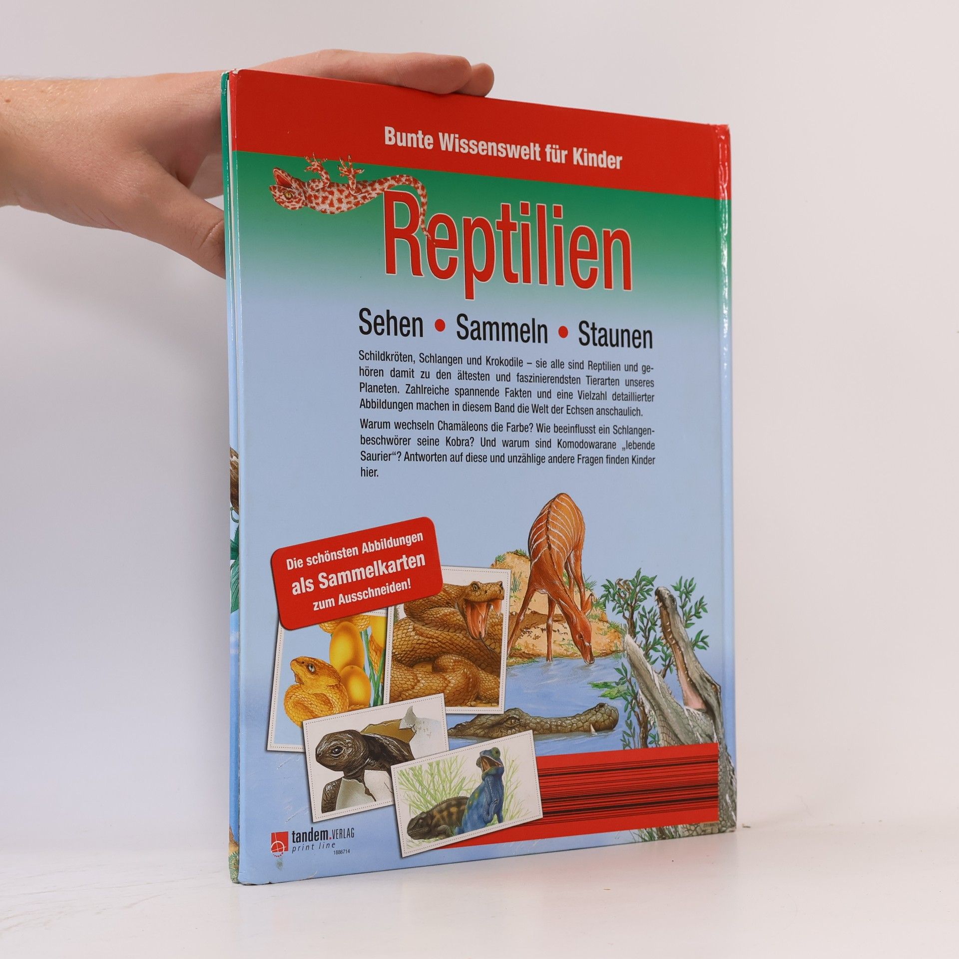 Kolektiv autorů Bunte Wissenswelt für Kinder. Reptilien