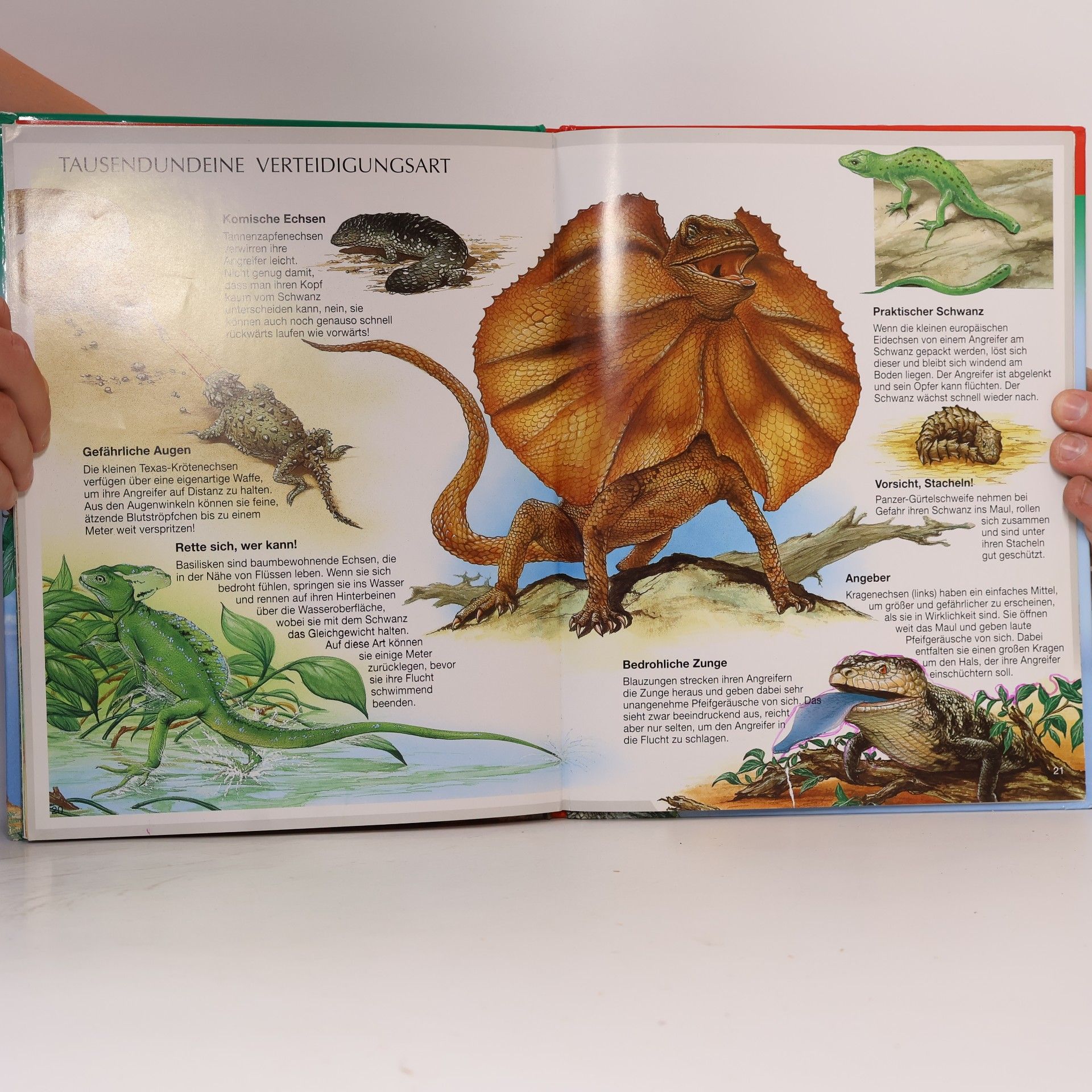 Kolektiv autorů Bunte Wissenswelt für Kinder. Reptilien