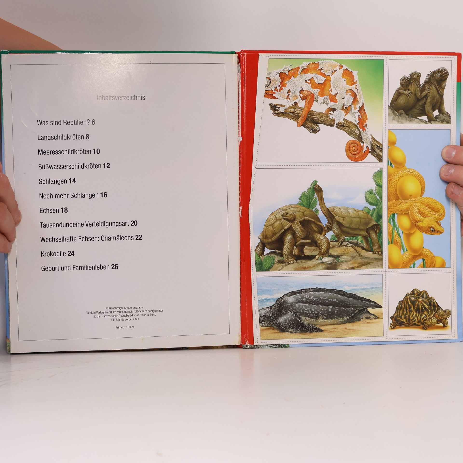 Kolektiv autorů Bunte Wissenswelt für Kinder. Reptilien
