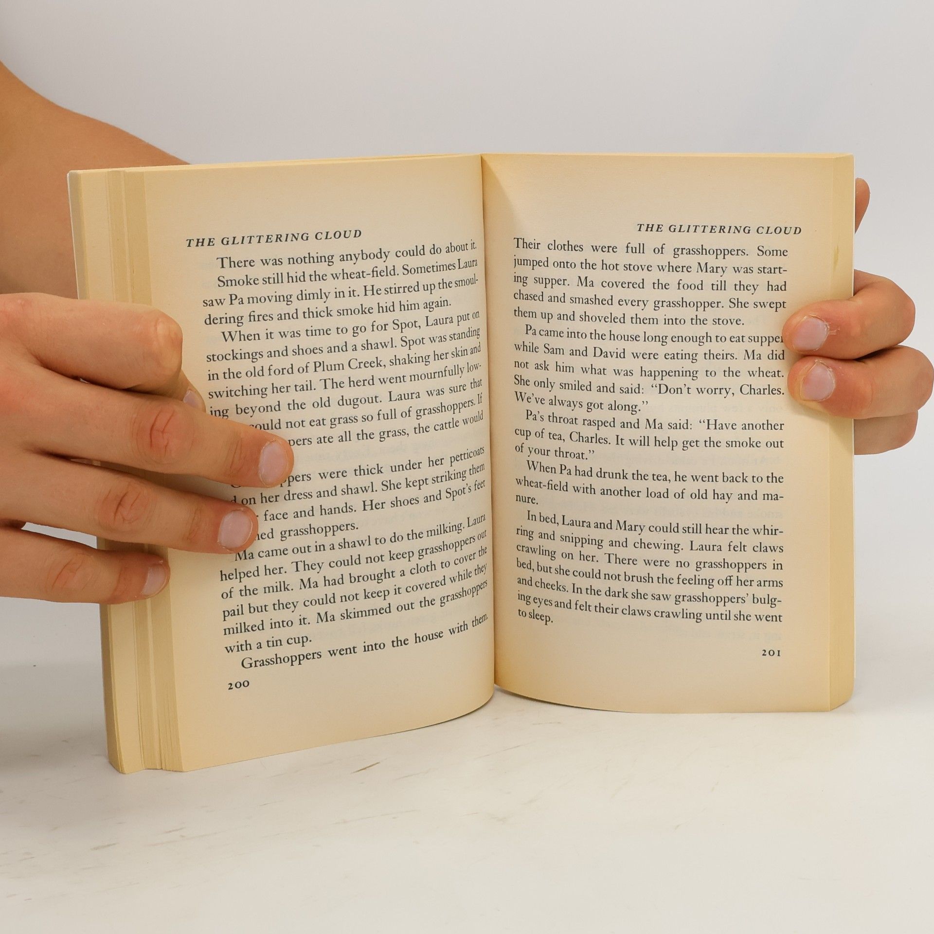Laura Ingalls Wilder Little House: On the Banks of Plum Creek