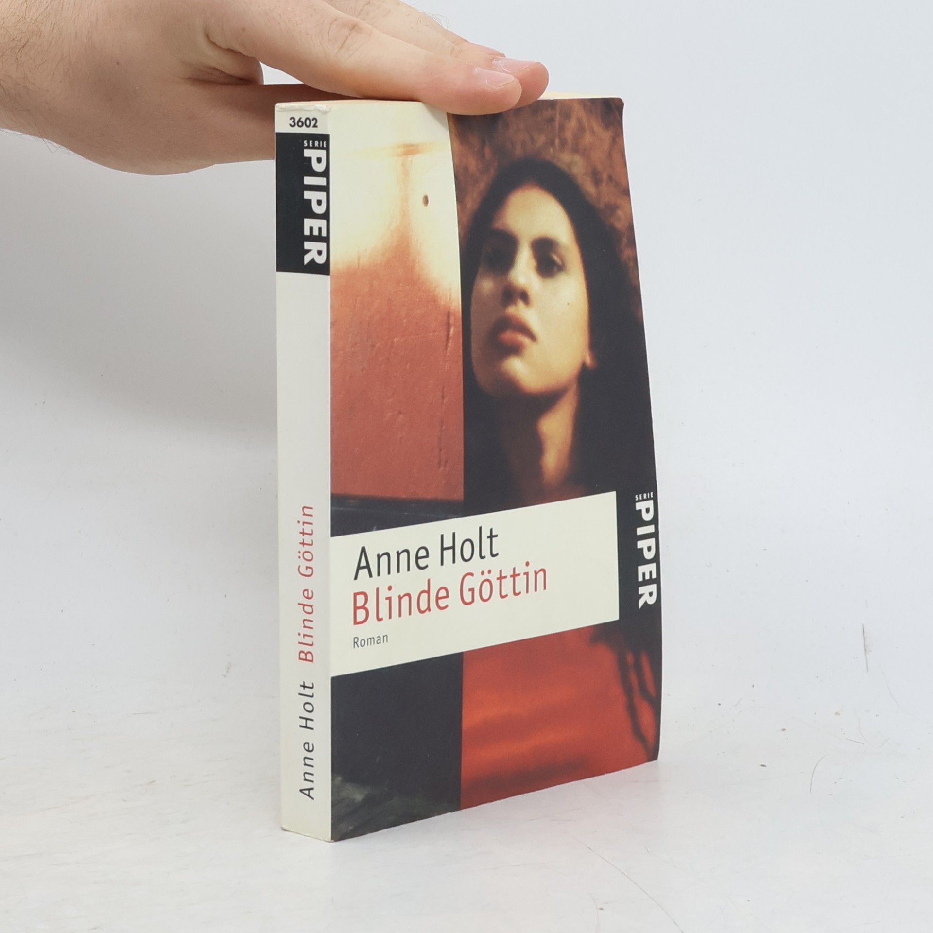 Anne Holt Blinde Göttin