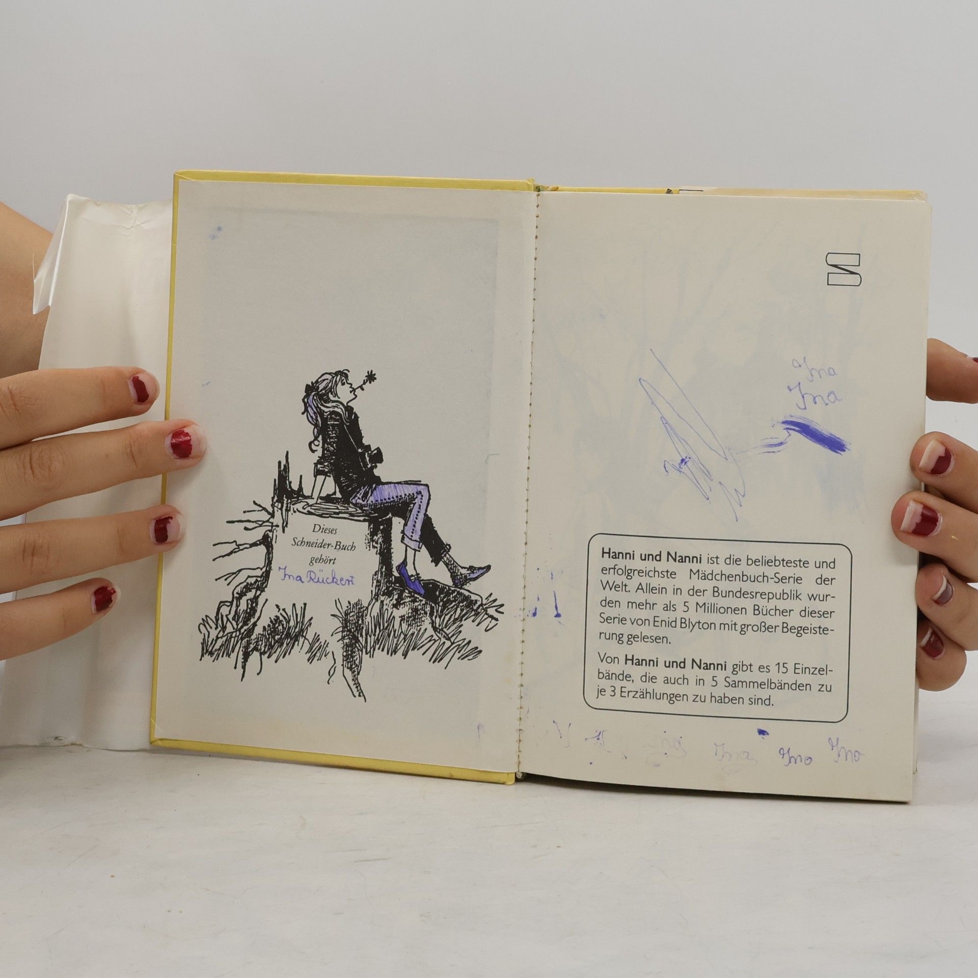 Enid Blyton Hanni und Nanni. Sammelband 3