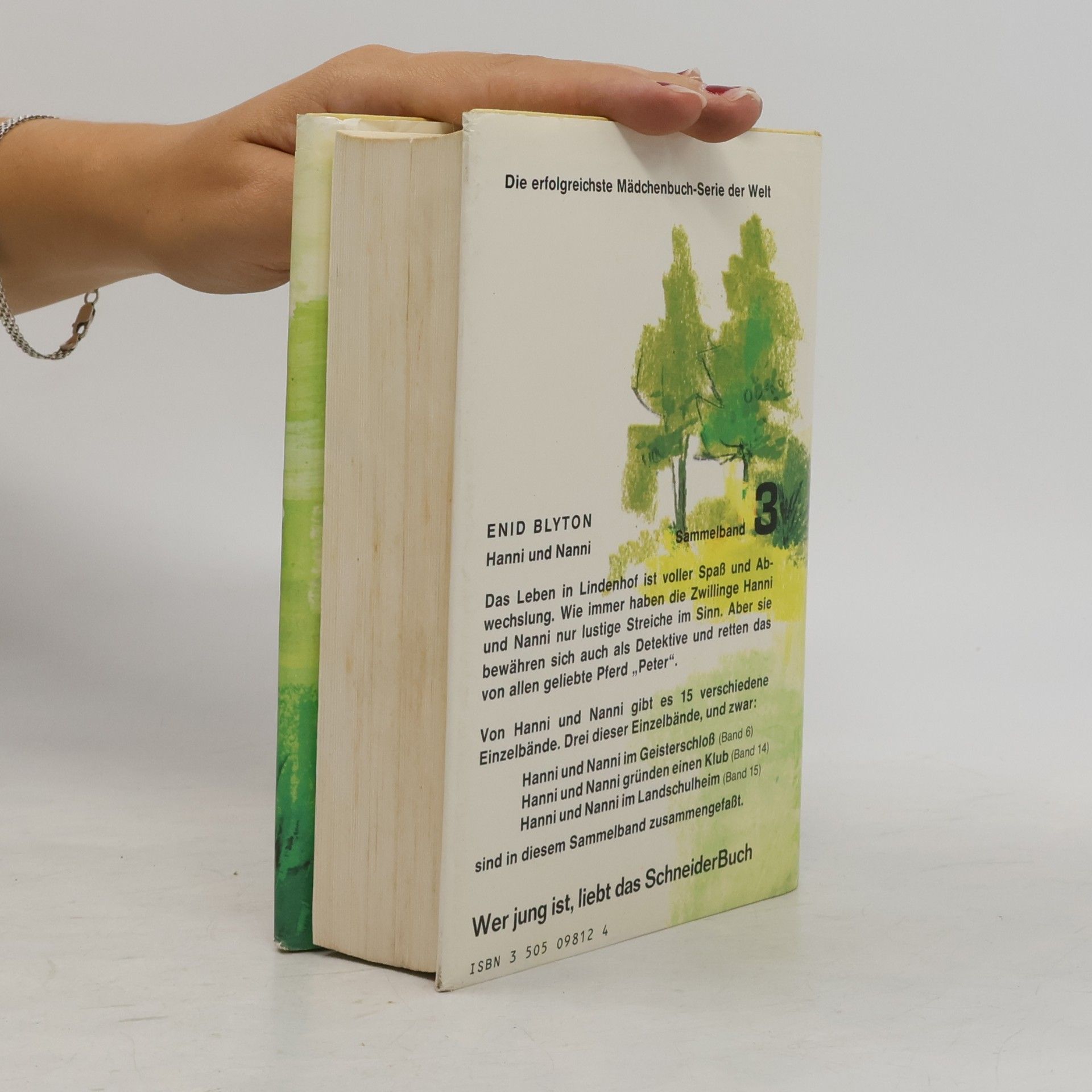 Enid Blyton Hanni und Nanni. Sammelband 3