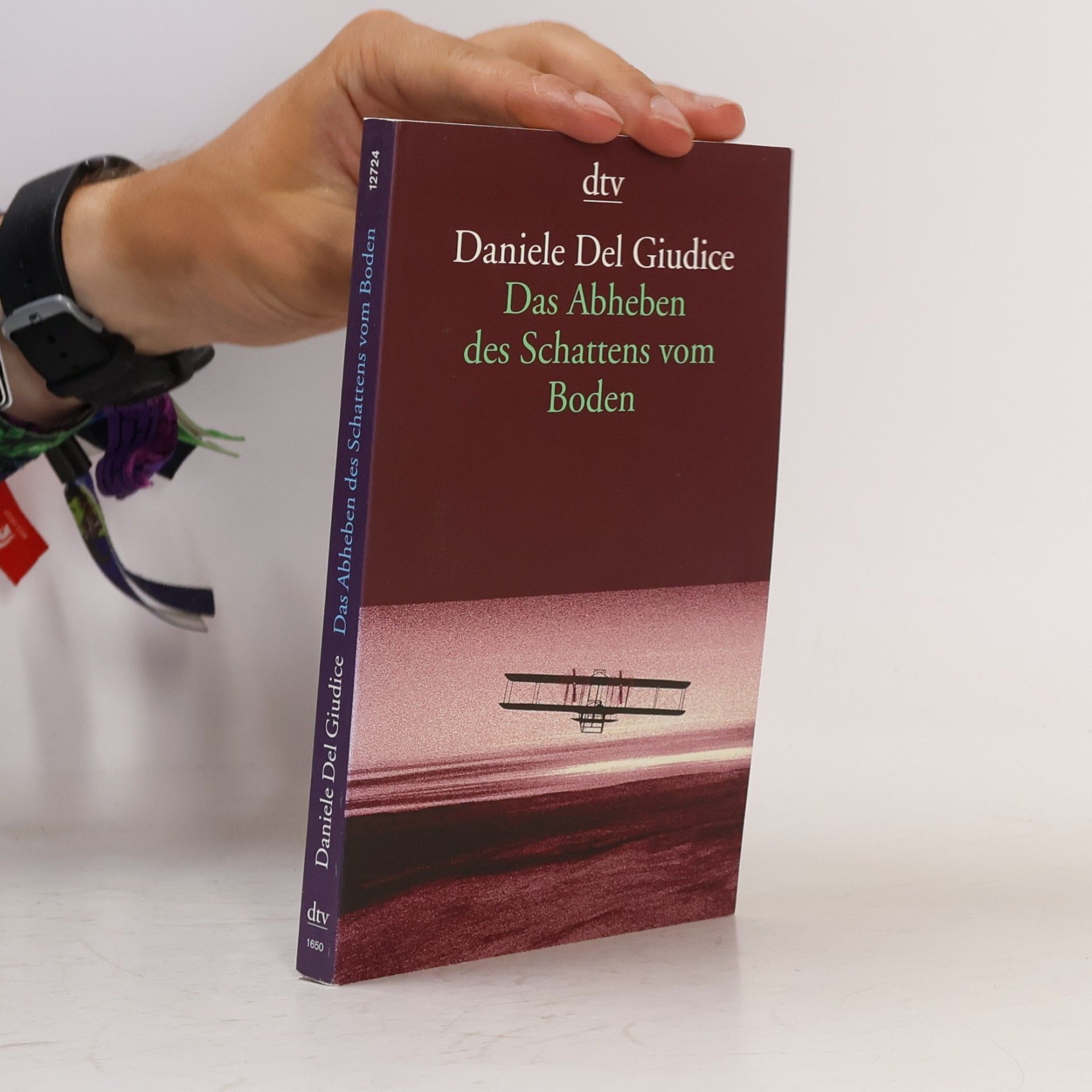 Daniele Del Giudice Das Abheben des Schattens vom Boden