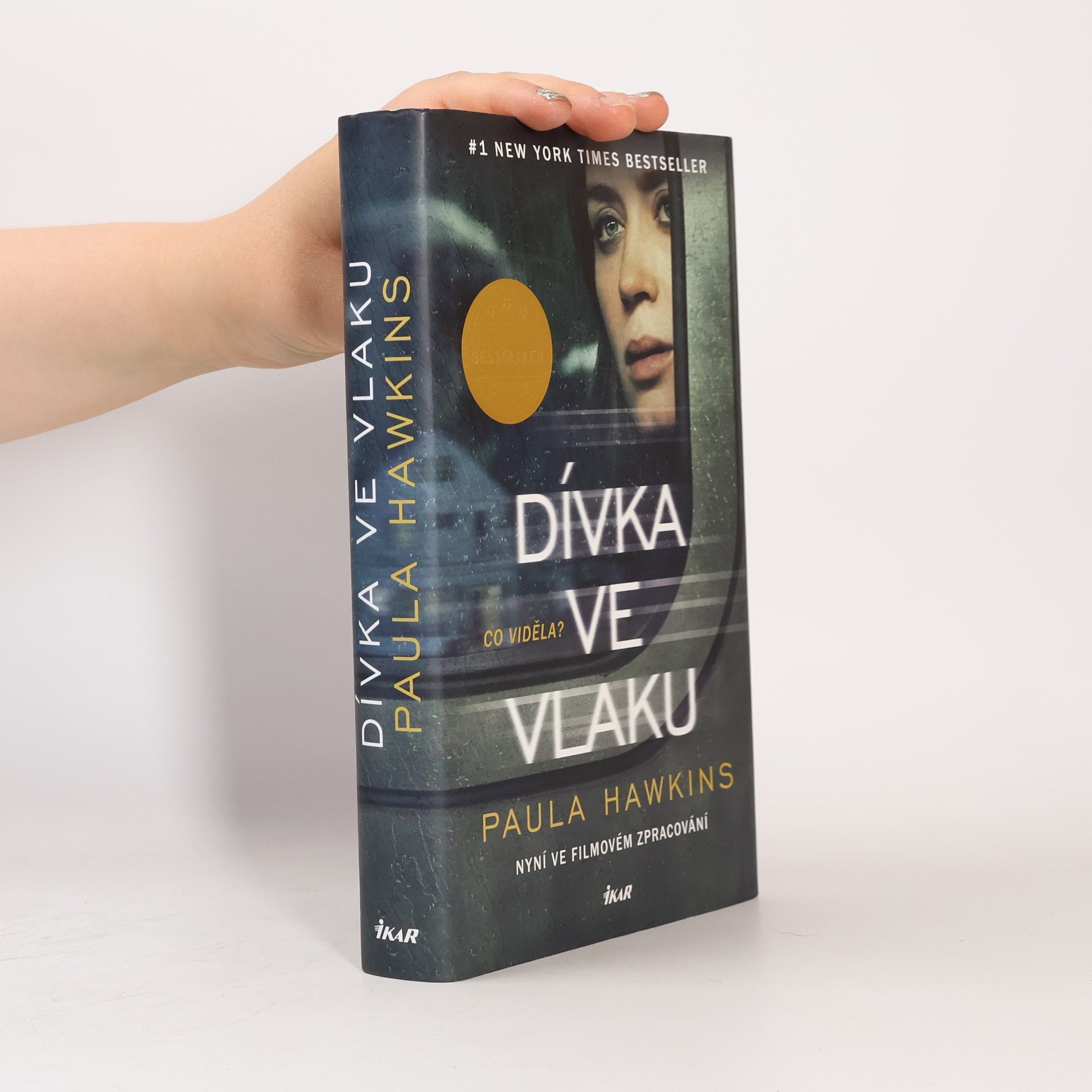 Dívka ve vlaku