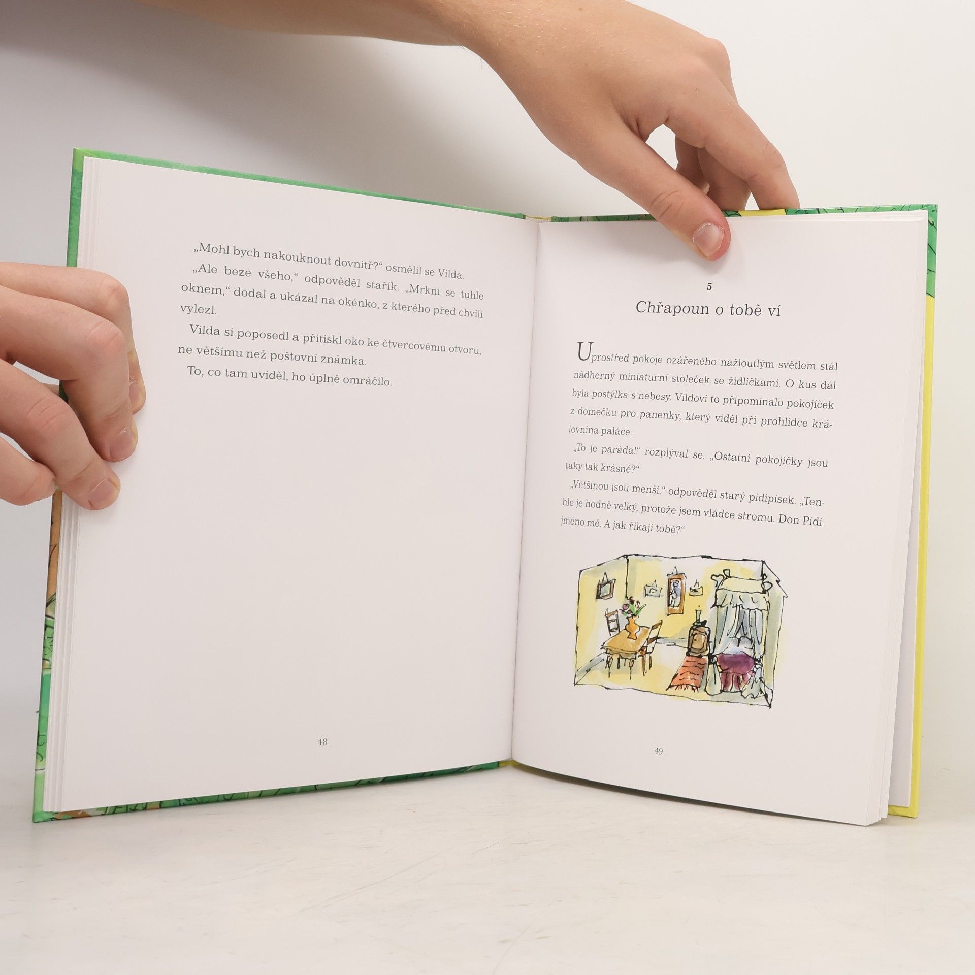Roald Dahl Vilda a pidipískové