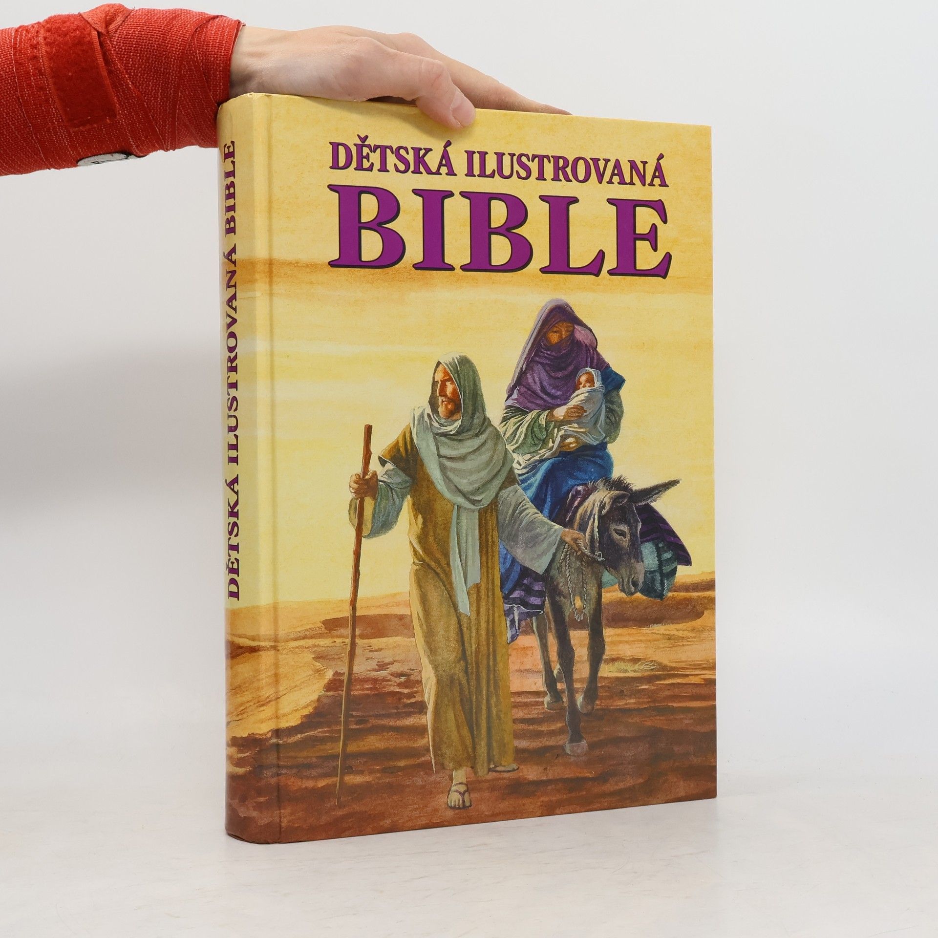 Kolektiv autorů Dětská ilustrovaná bible