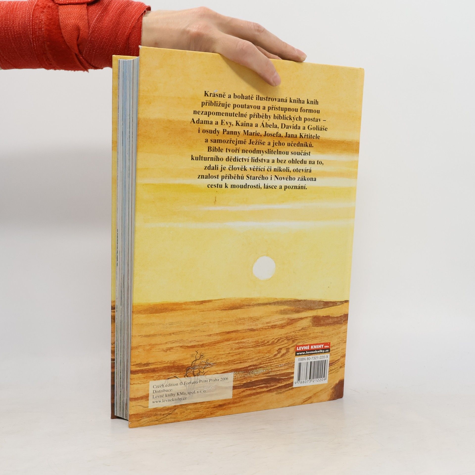 Kolektiv autorů Dětská ilustrovaná bible