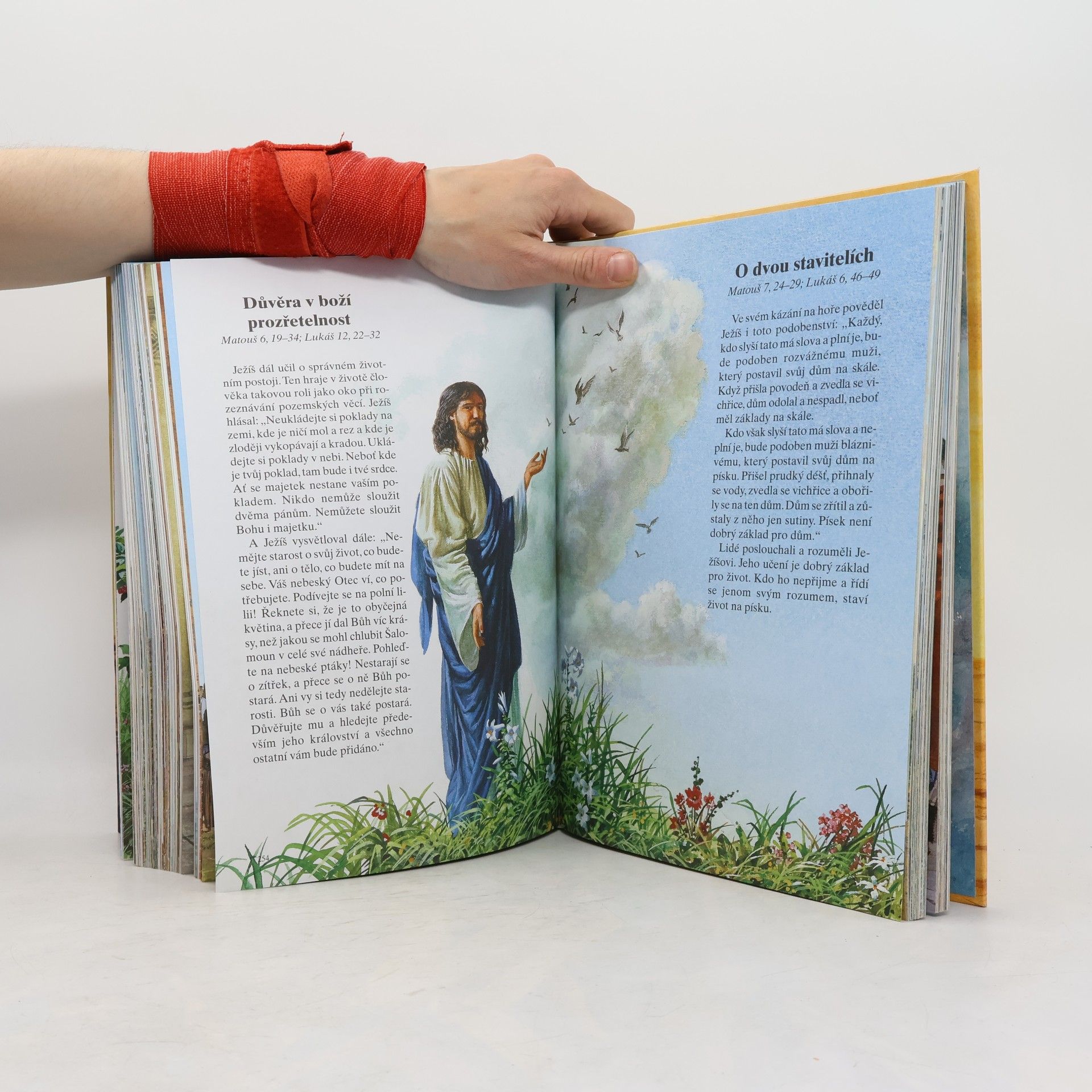 Kolektiv autorů Dětská ilustrovaná bible