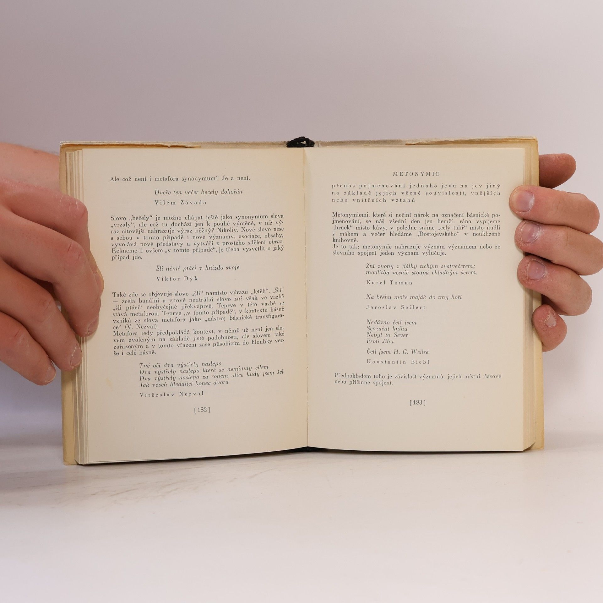 Josef Brukner Větší poetický slovník