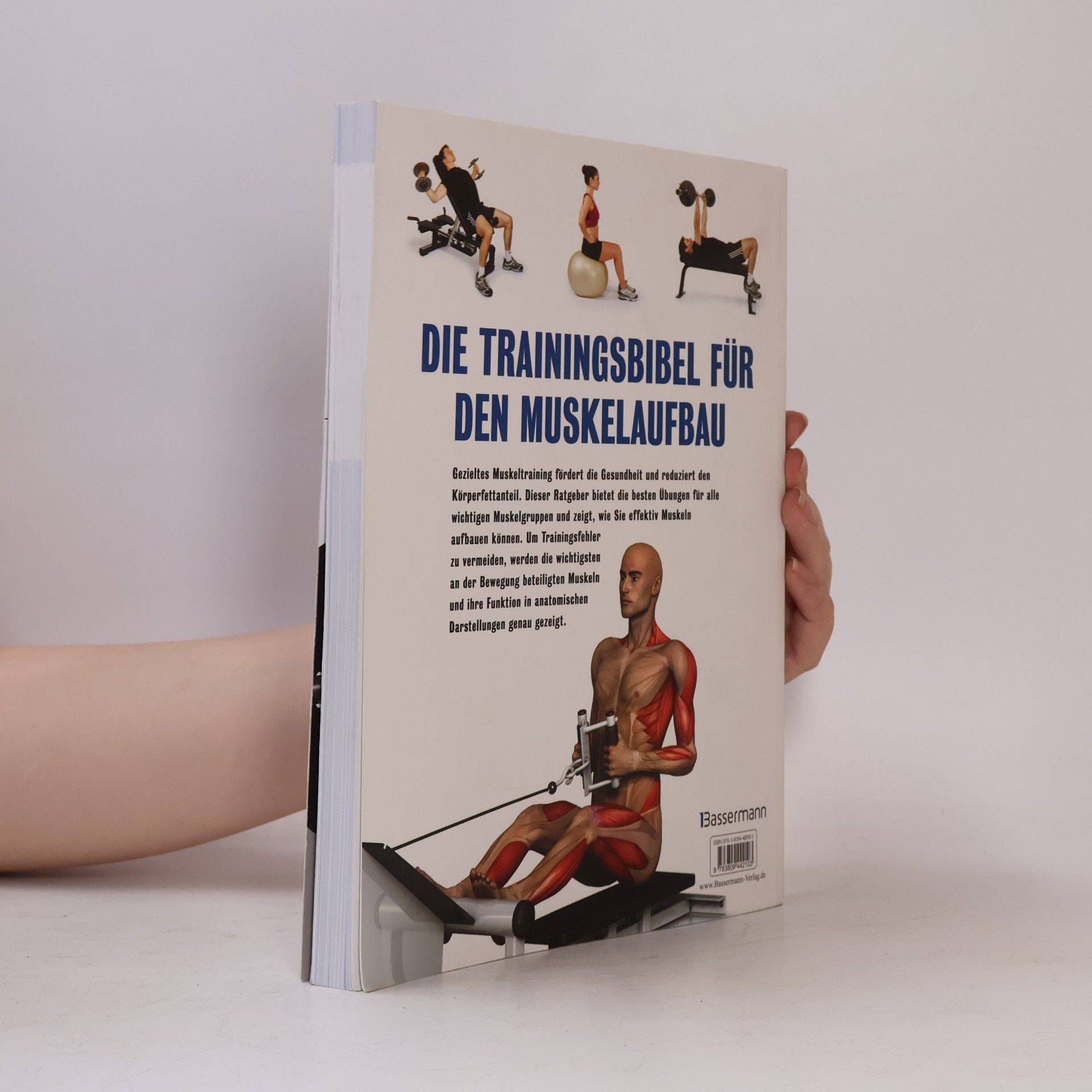 Pat Manocchia Die Muskelbibel. Aufwärmtraining, Muskelaufbautraining, Kraftausdauertraining, Maximalkrafttraining. Mit und ohne Geräte. Für Anfänger und Fortgeschrittene