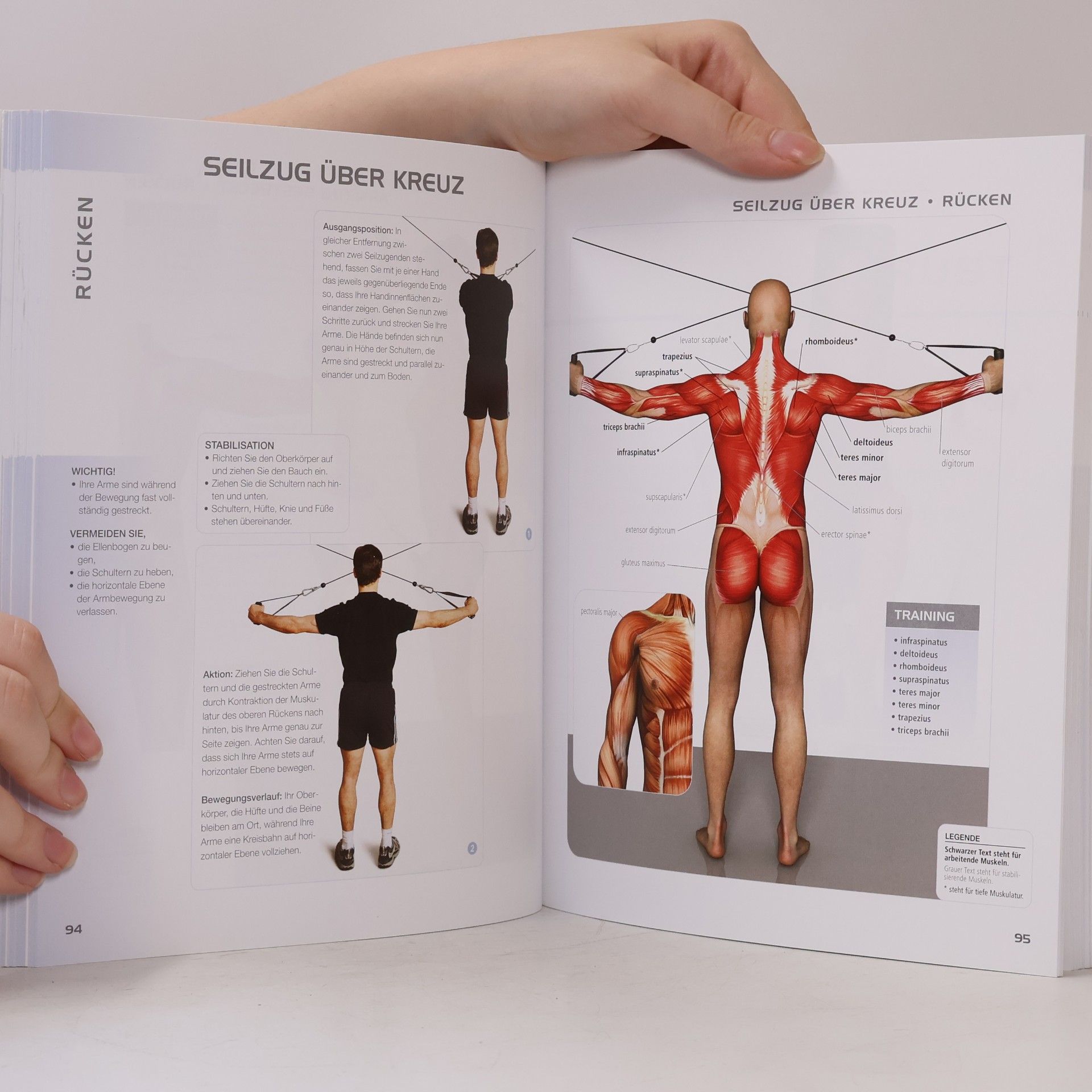 Pat Manocchia Die Muskelbibel. Aufwärmtraining, Muskelaufbautraining, Kraftausdauertraining, Maximalkrafttraining. Mit und ohne Geräte. Für Anfänger und Fortgeschrittene