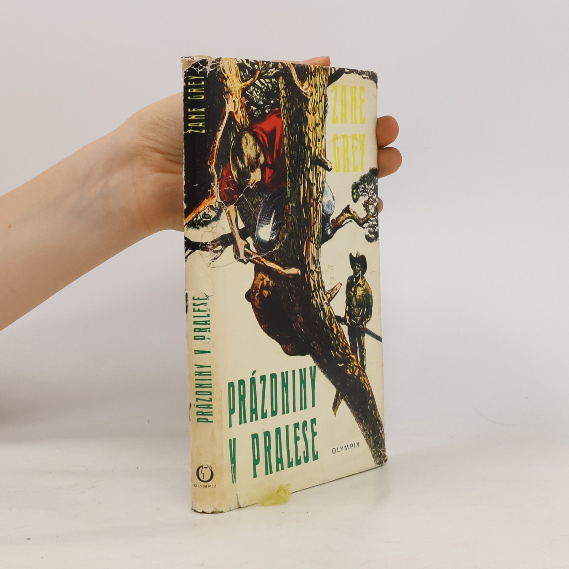 Zane Grey Prázdniny v pralese
