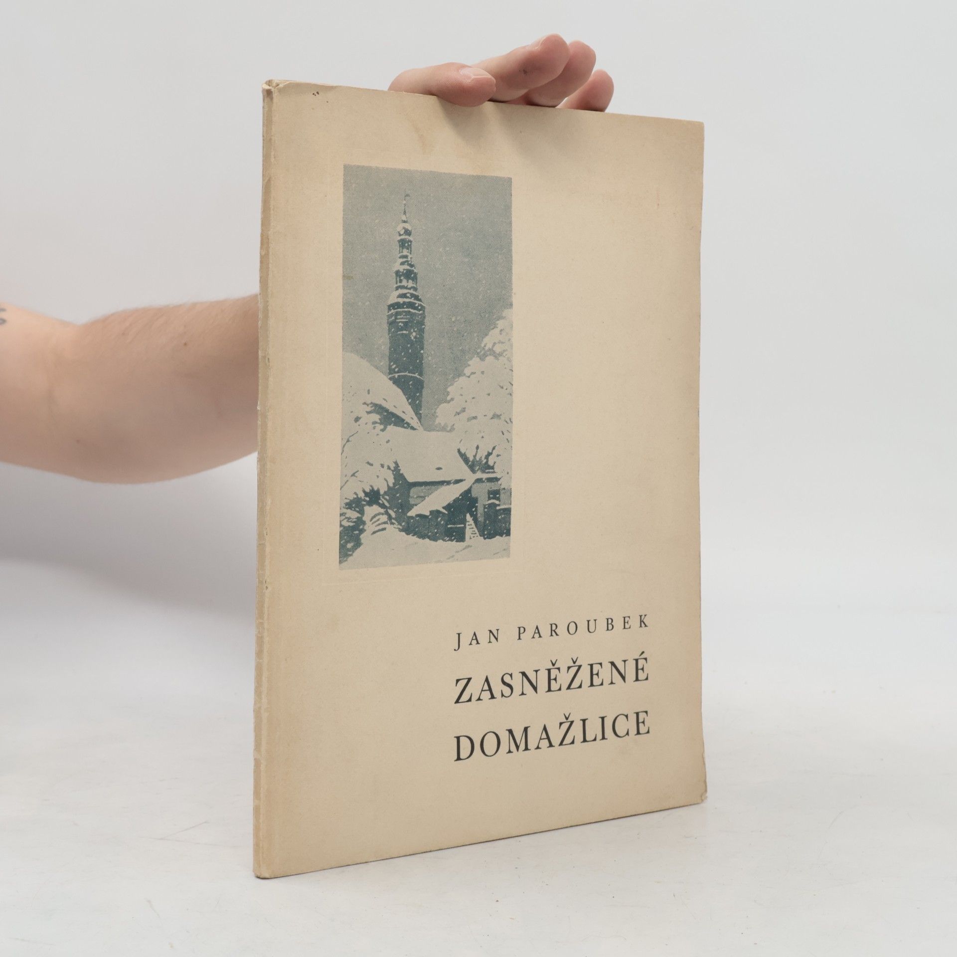 Zasněžené Domažlice