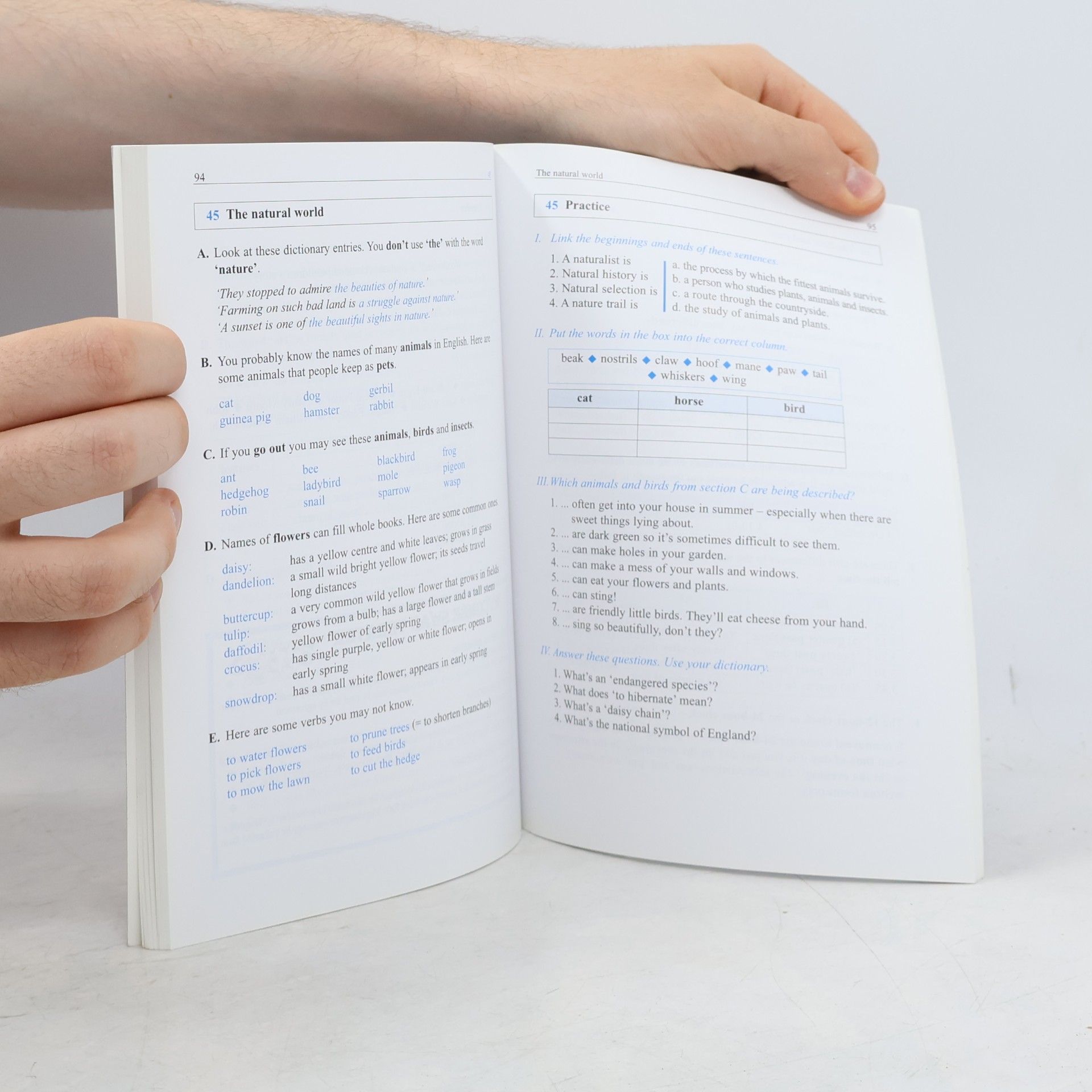 Robert Parr Focus on words and phrases