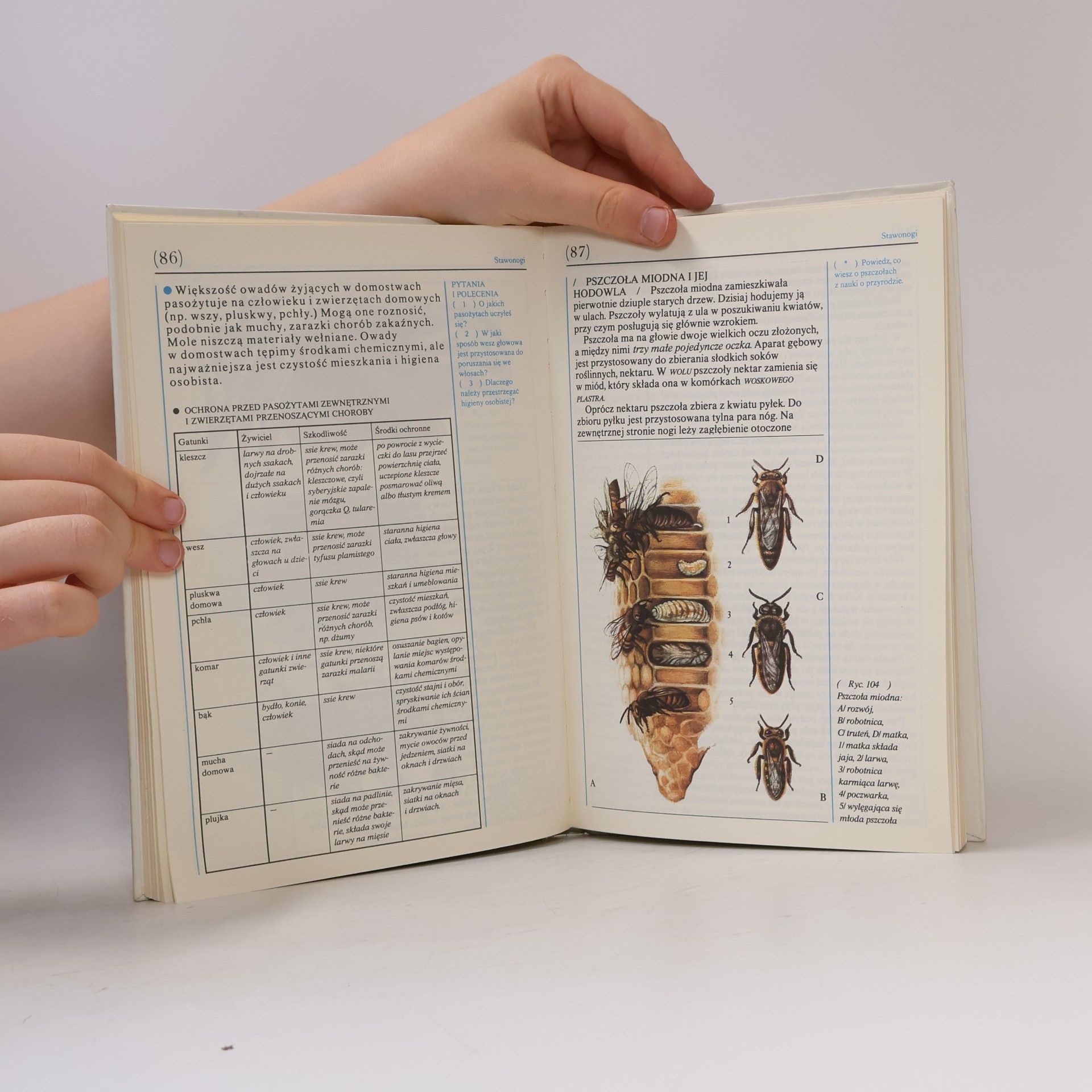 Various authors Nauka o przyrodzie 6