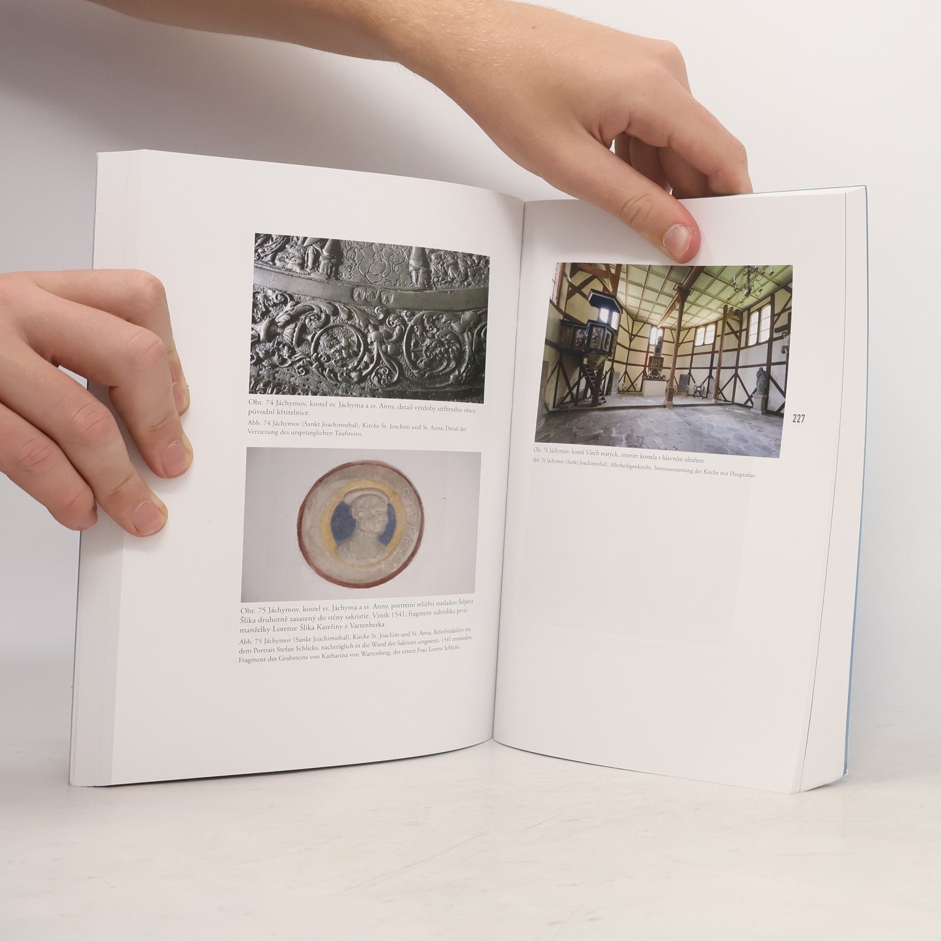 Michaela Hrubá Historie a památky Krušnohoří. I., Horní města českého Krušnohoří v raném novověku a jejich stopa v kulturních dějinách