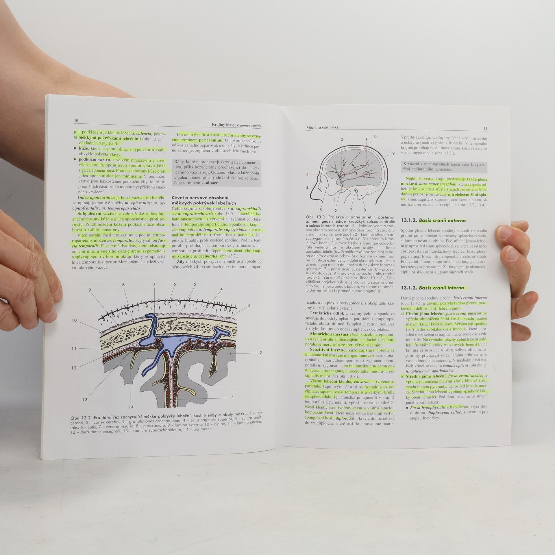 Miloš Grim Základy anatomie. 5., Anatomie krajin těla