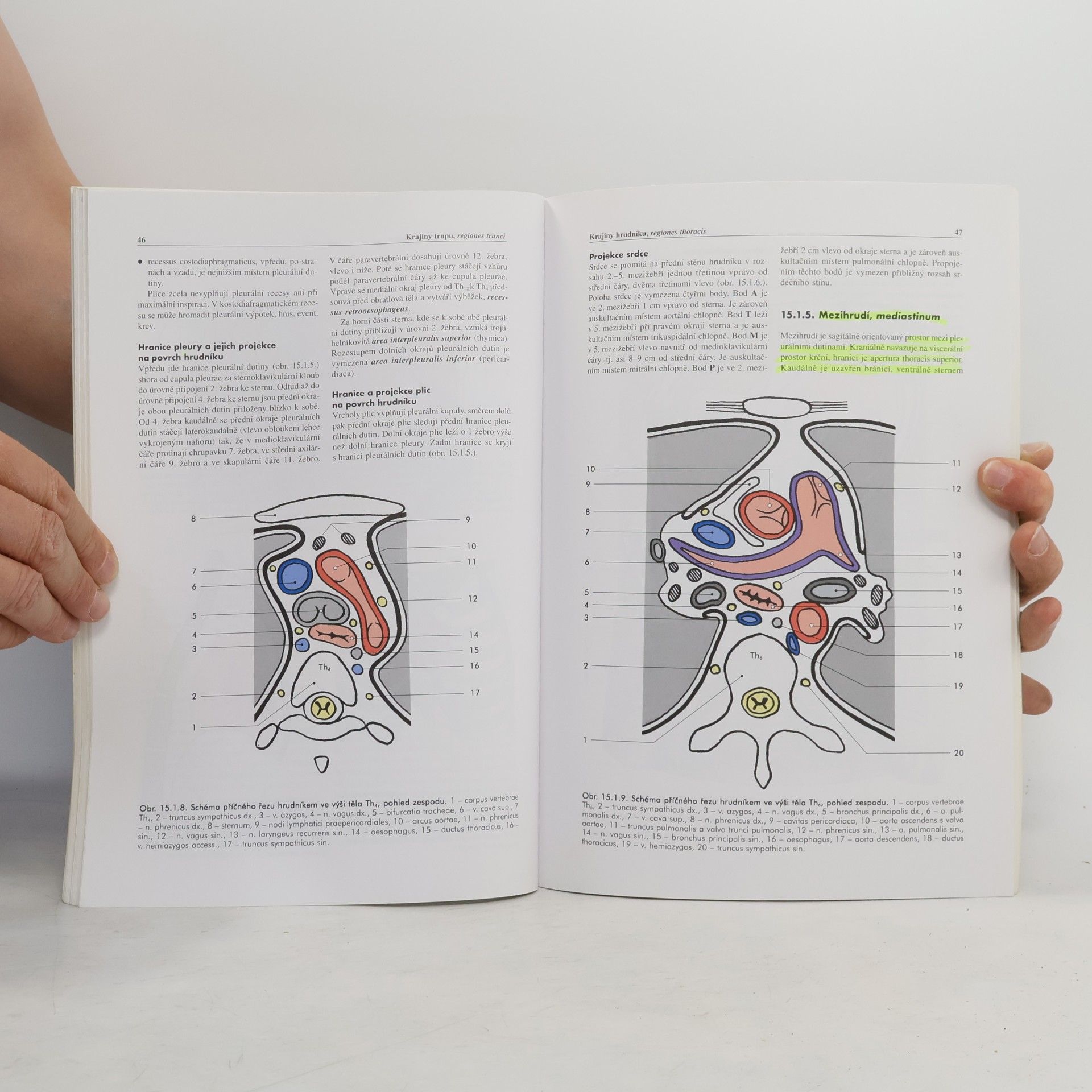 Miloš Grim Základy anatomie. 5., Anatomie krajin těla