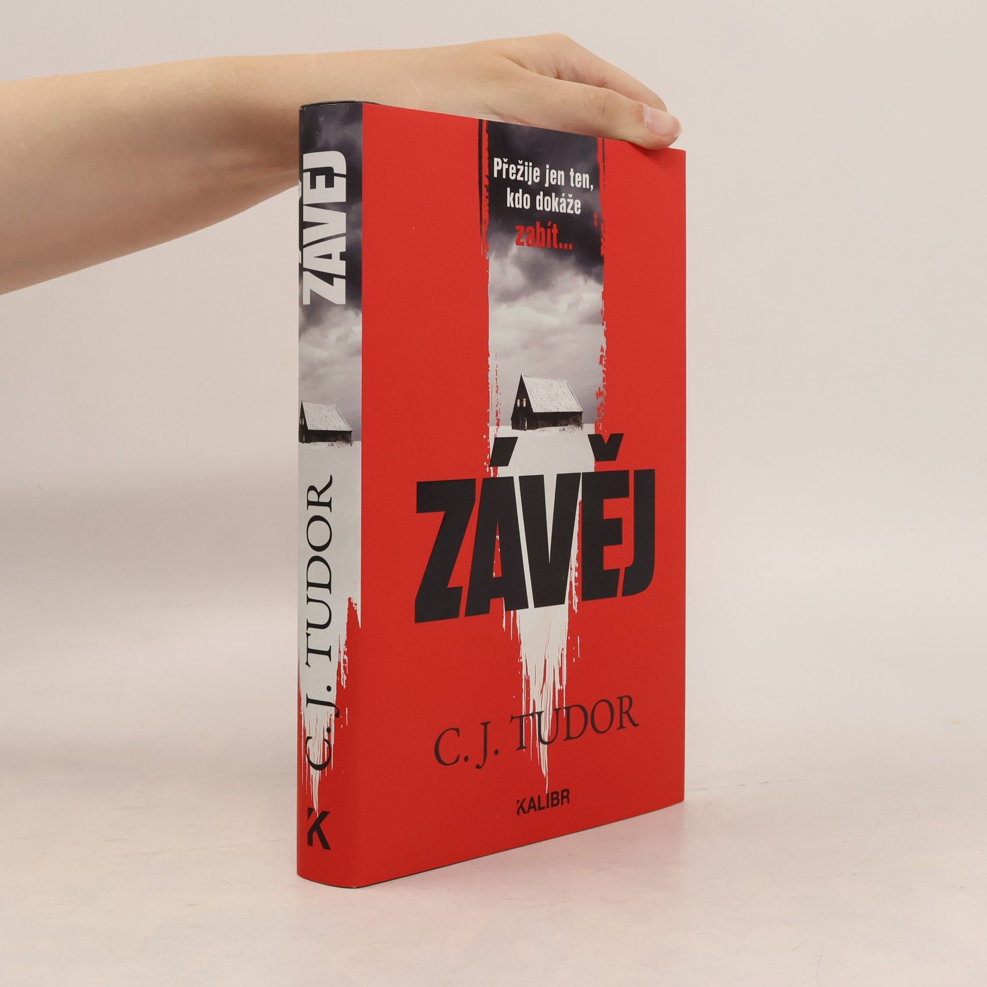 C.J. Tudor Závěj