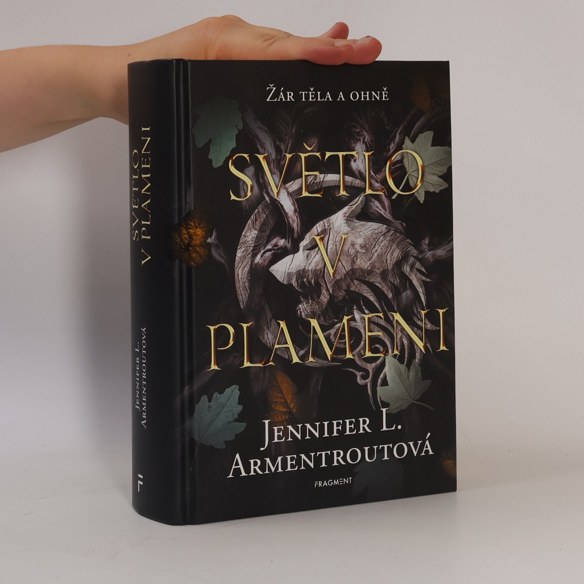 Jennifer L. Armentrout Světlo v plameni