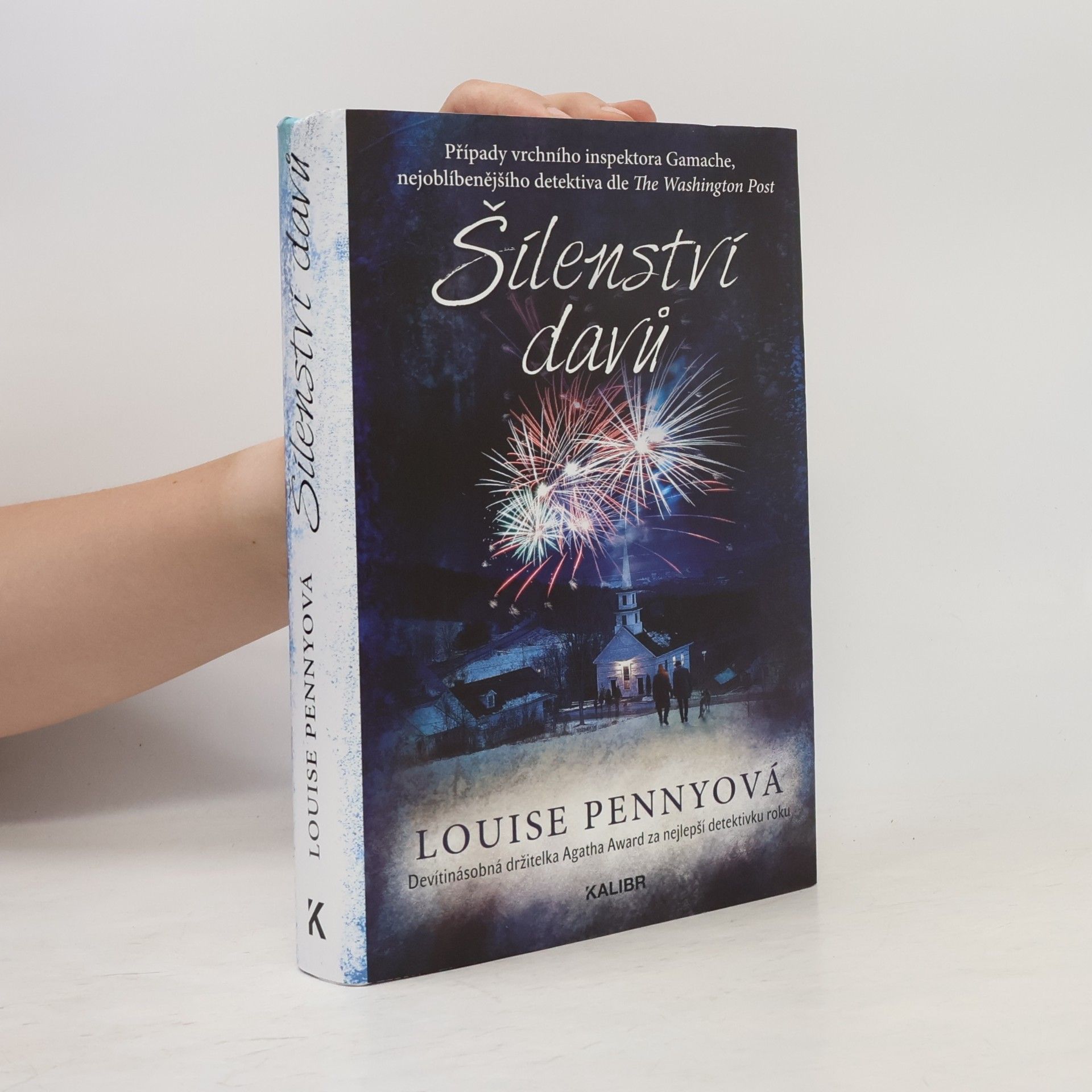 Louise Penny Šílenství davů