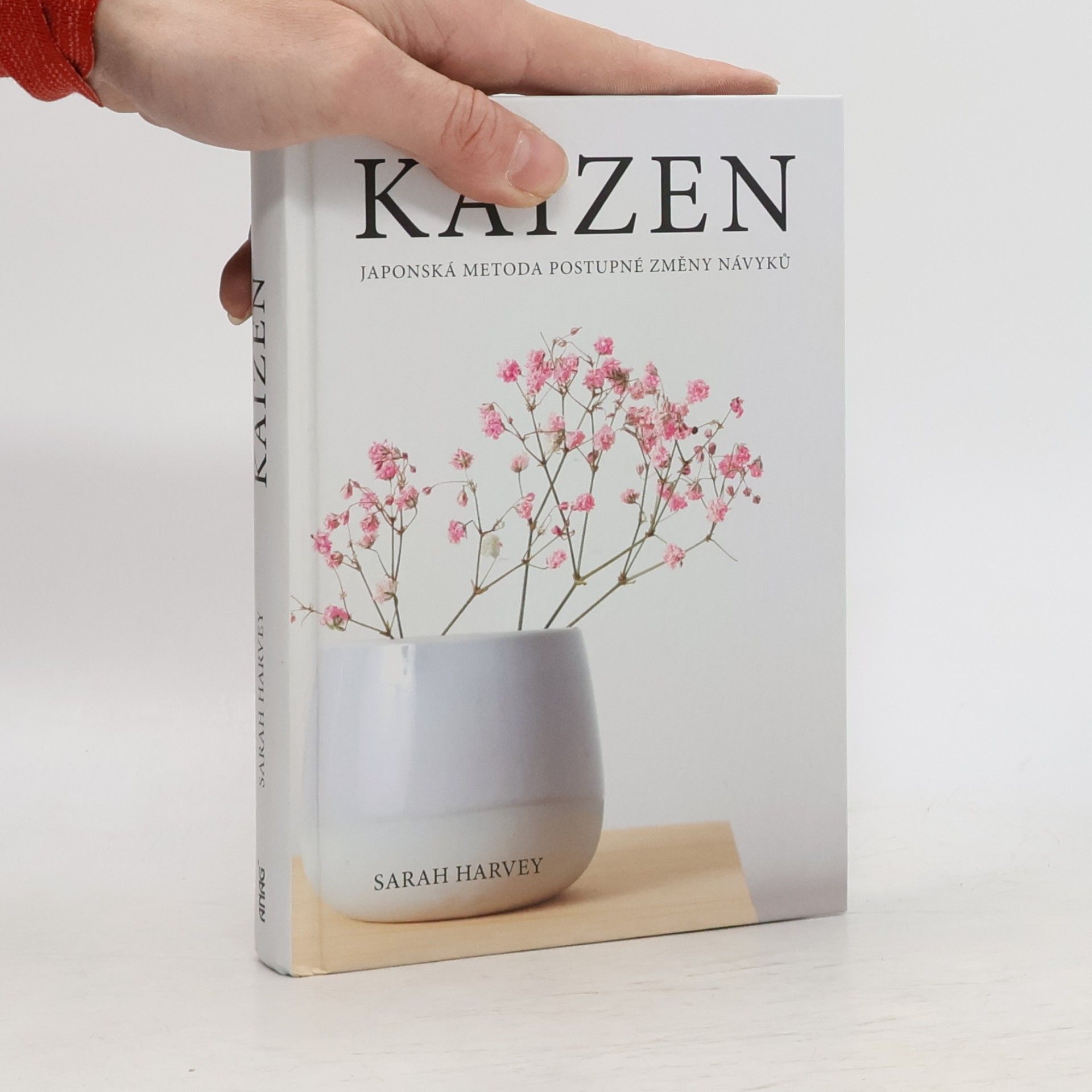 Sarah Harvey Kaizen: Japonská metoda postupné změny návyků