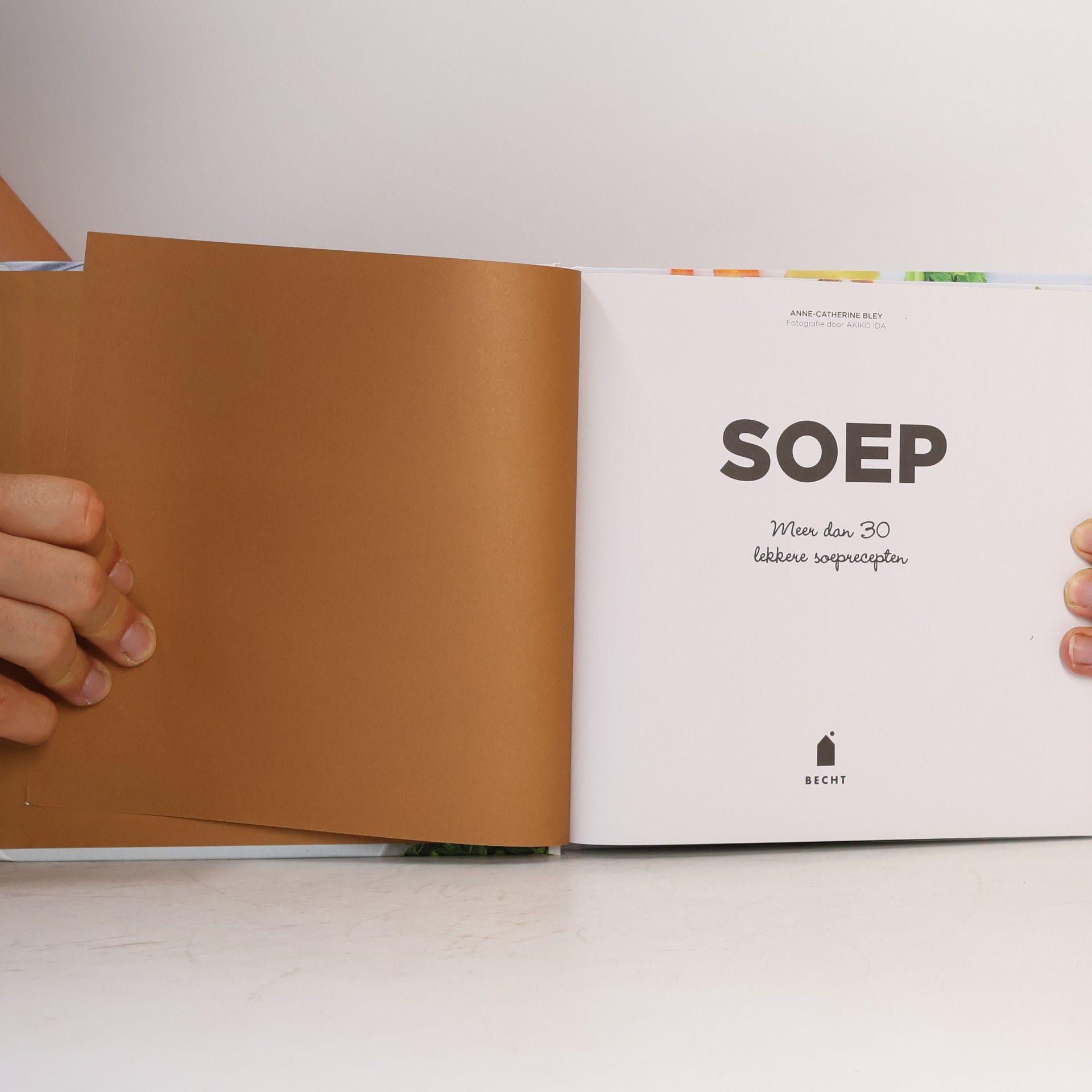 Anne-Catherine Bley Soep: meer dan 30 lekkere soeprecepten