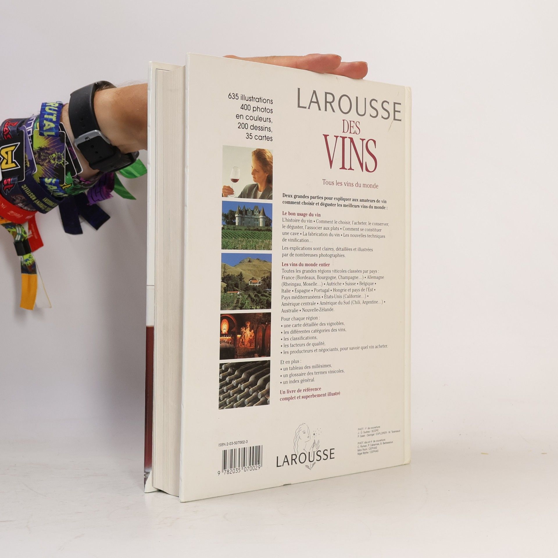 Kolektiv autorů Larousse des vins