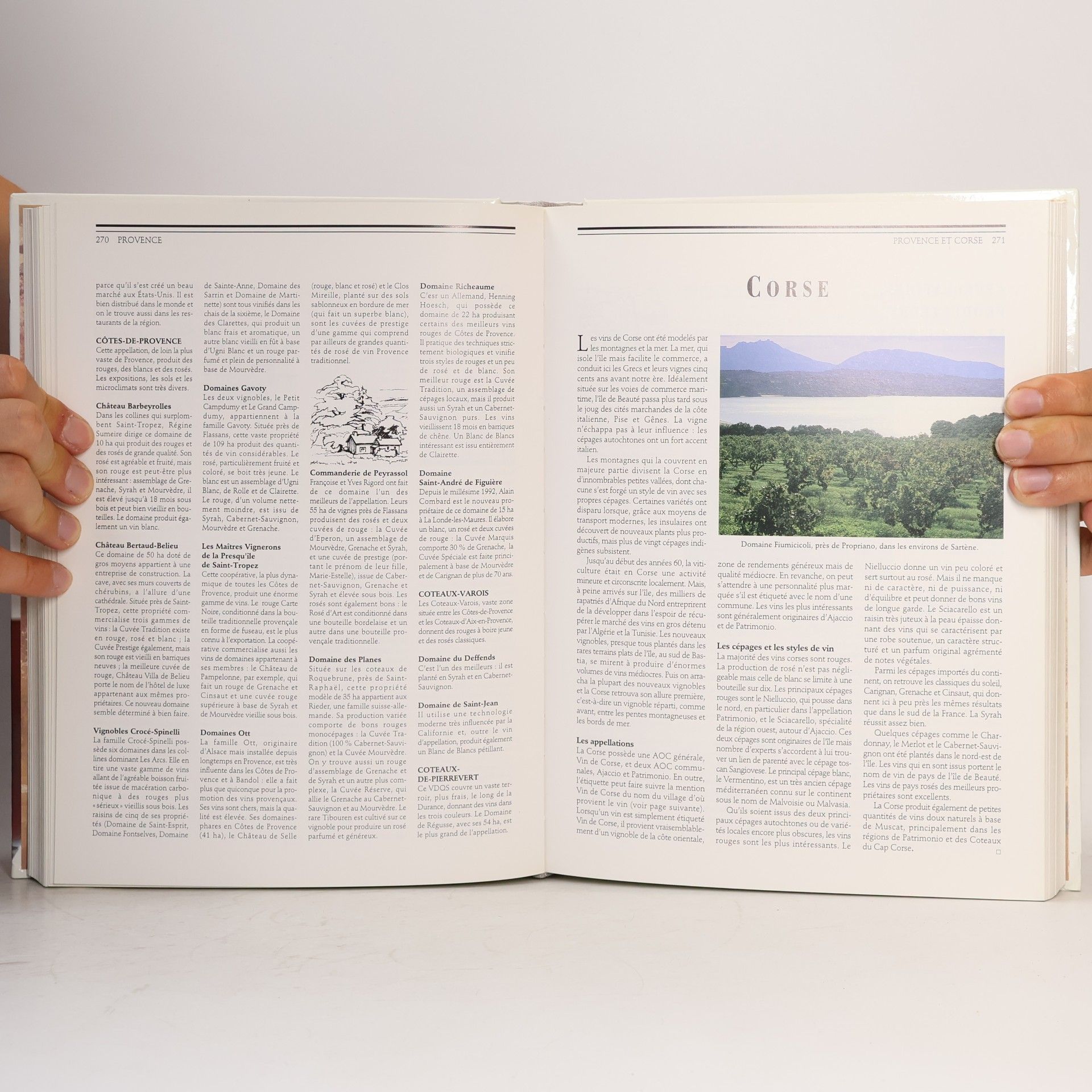 Kolektiv autorů Larousse des vins