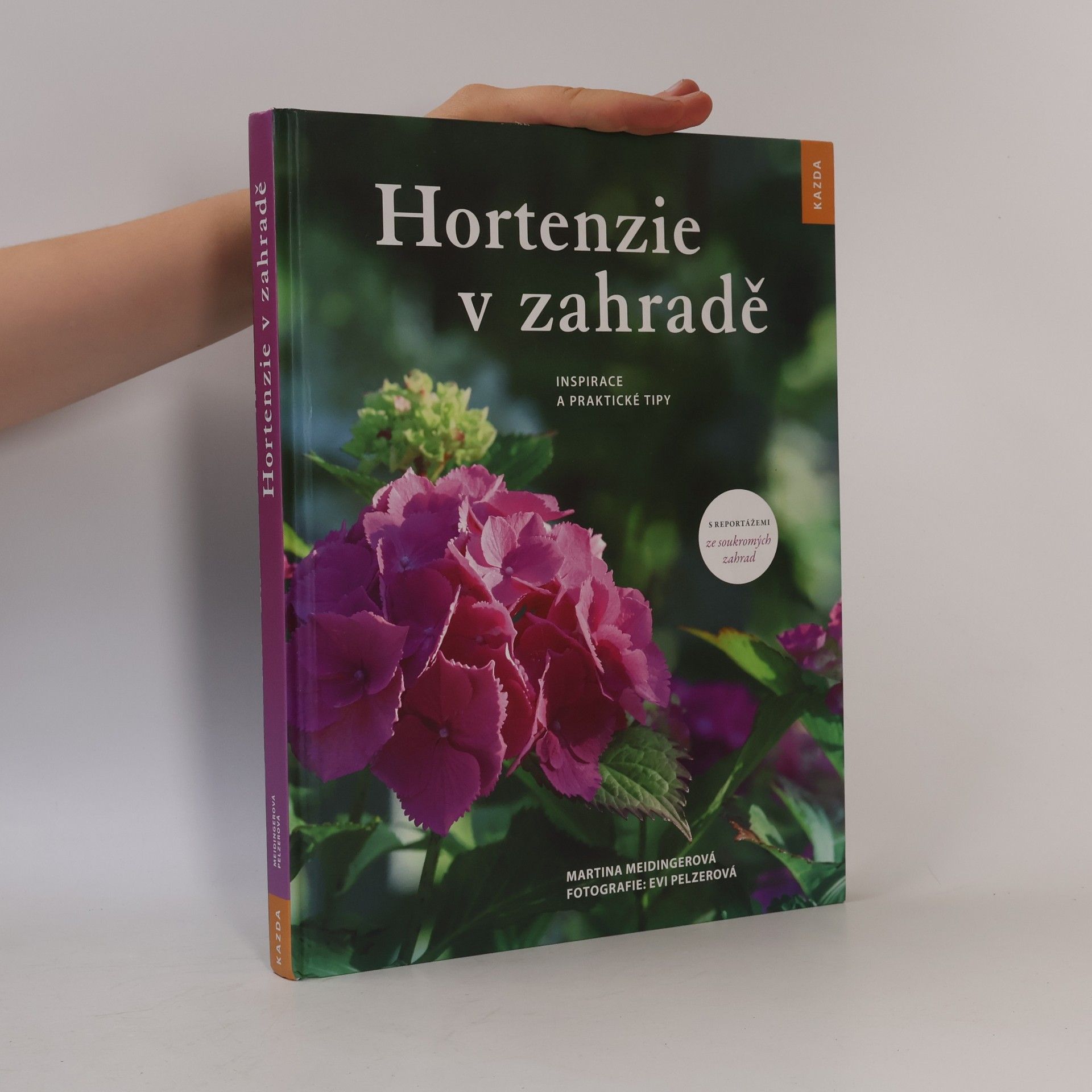 Martina Meidinger Hortenzie v zahradě