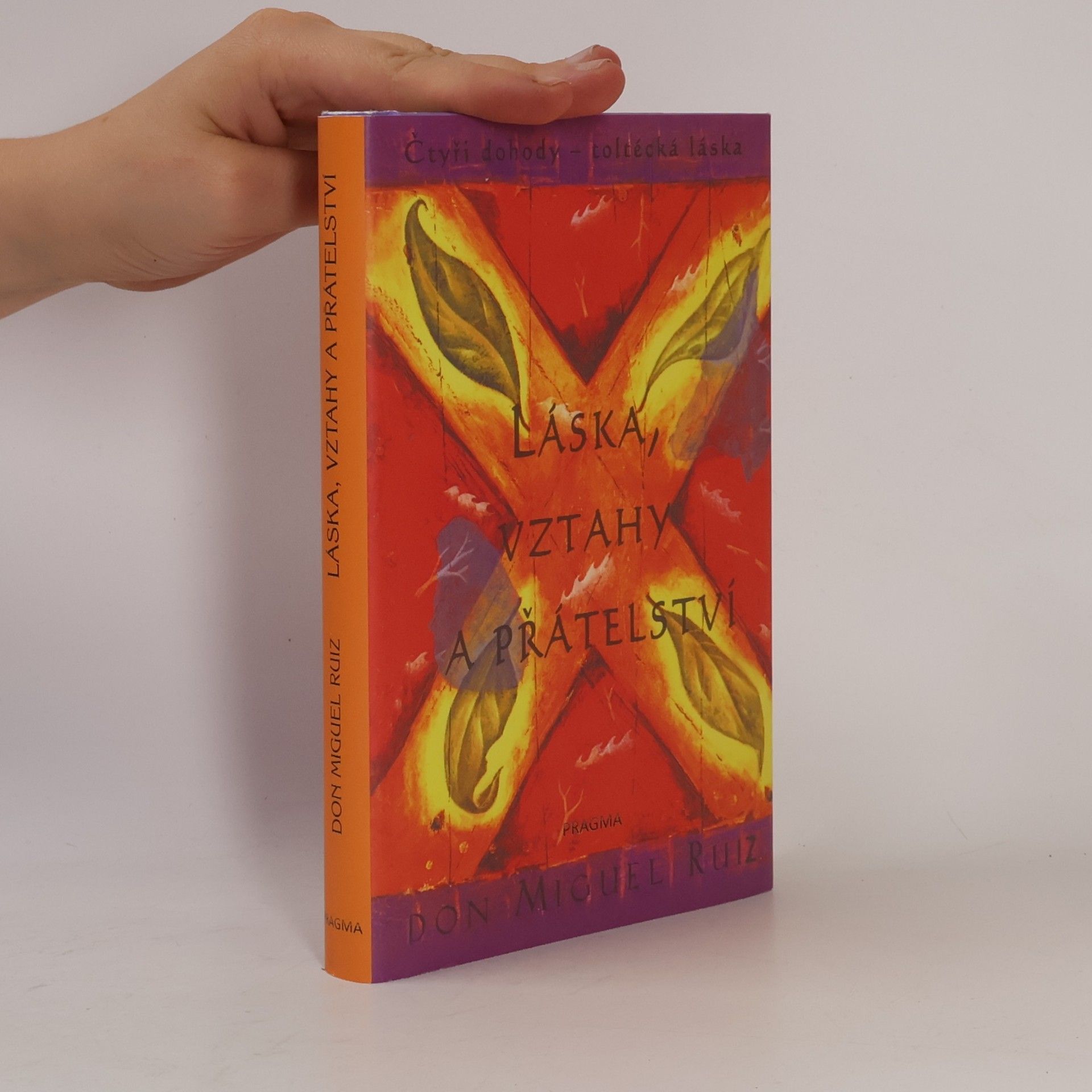 Don Miguel Ruiz Láska, vztahy a přátelství